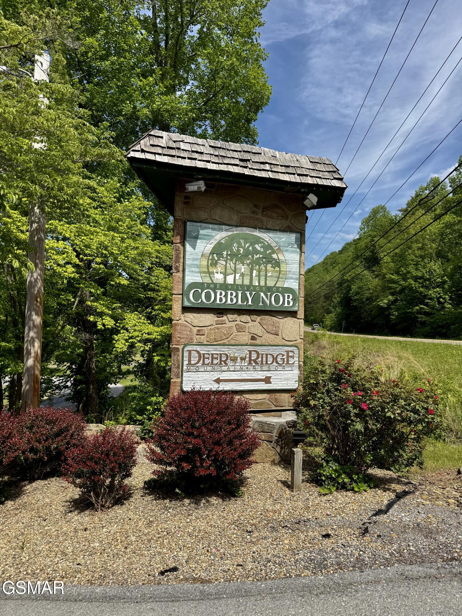 441 Matterhorn Drive Gatlinburg TN 37738