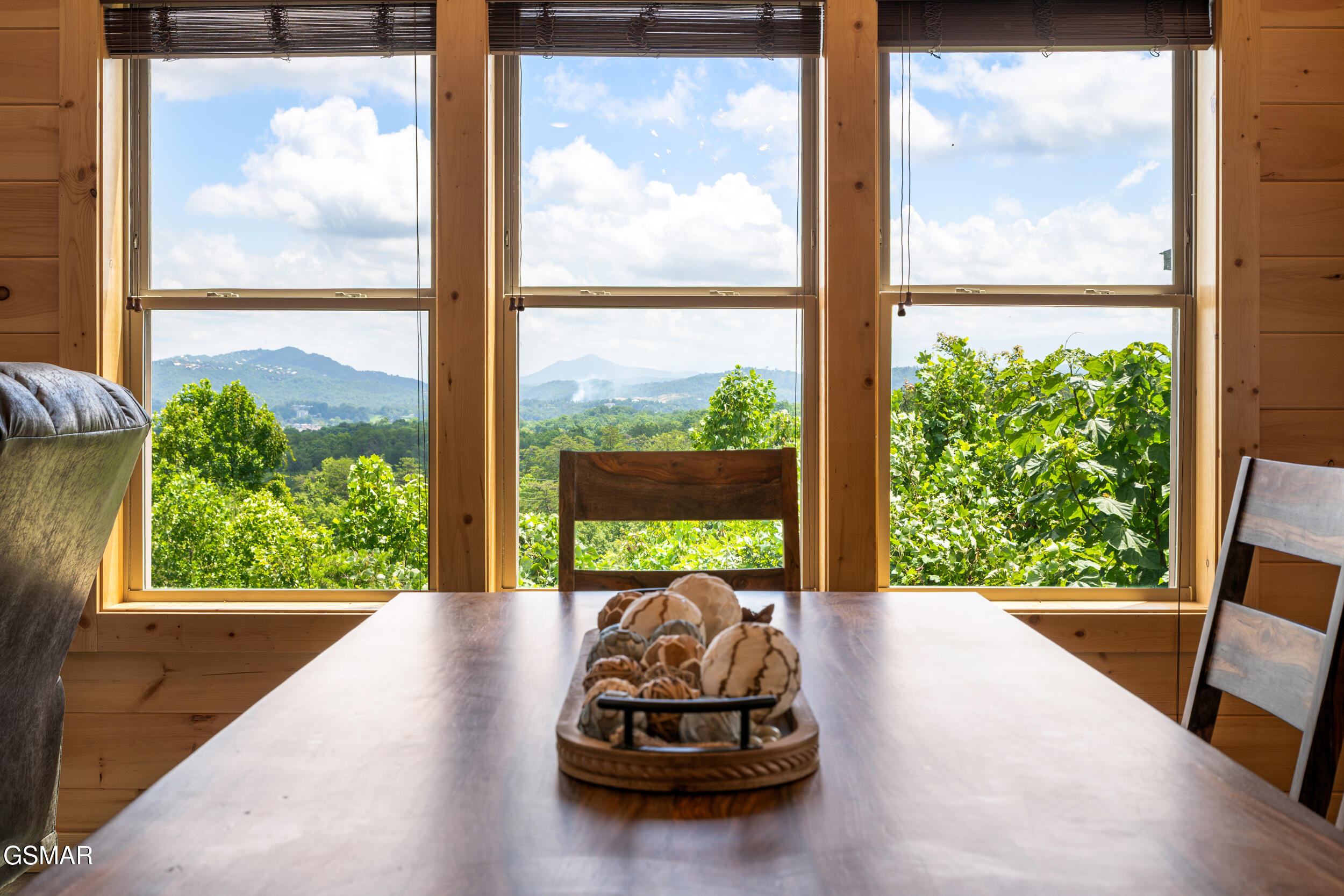 812 Peak Lp Way Pigeon Forge TN 37862