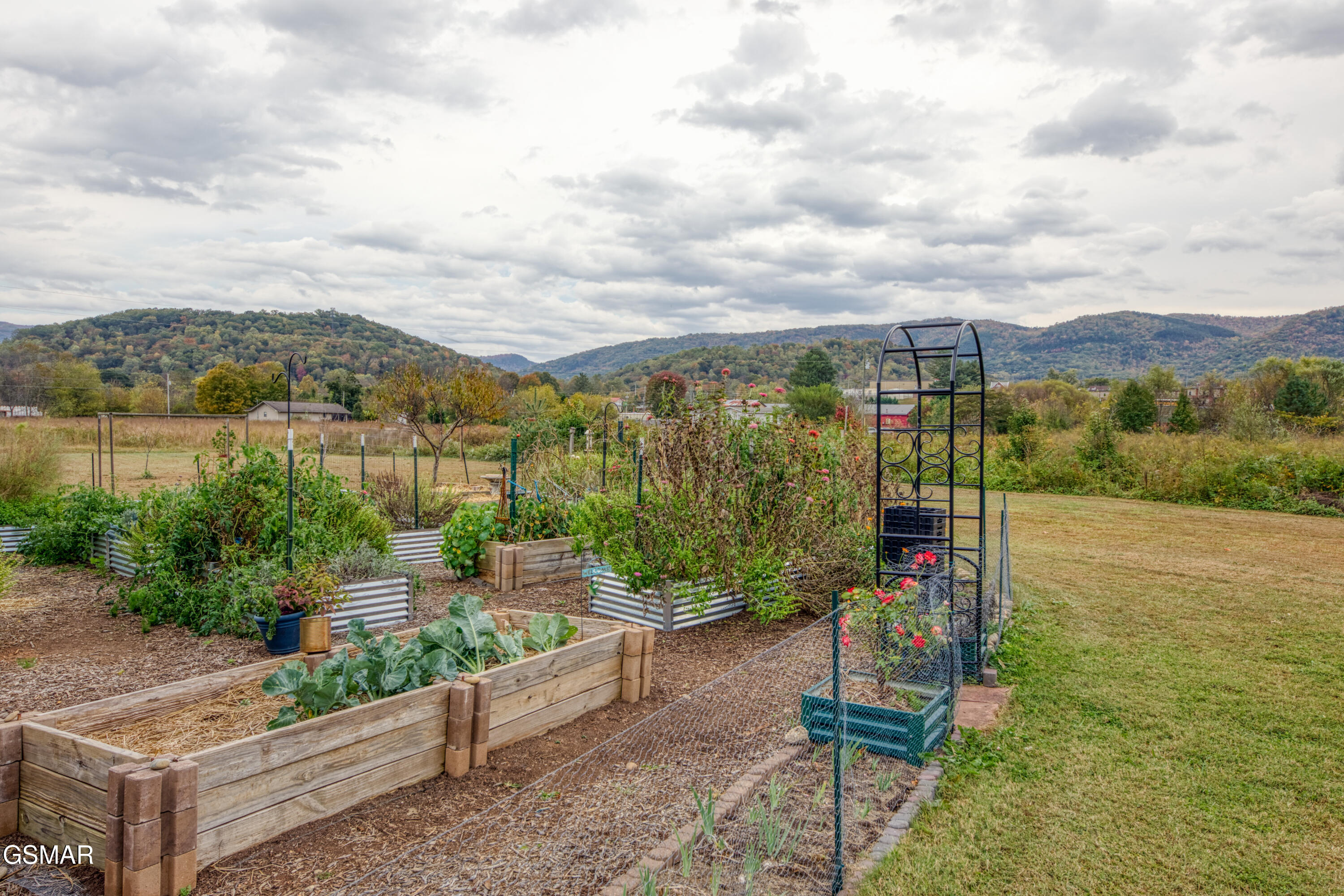 3143 Webbing Way Cosby TN 37722