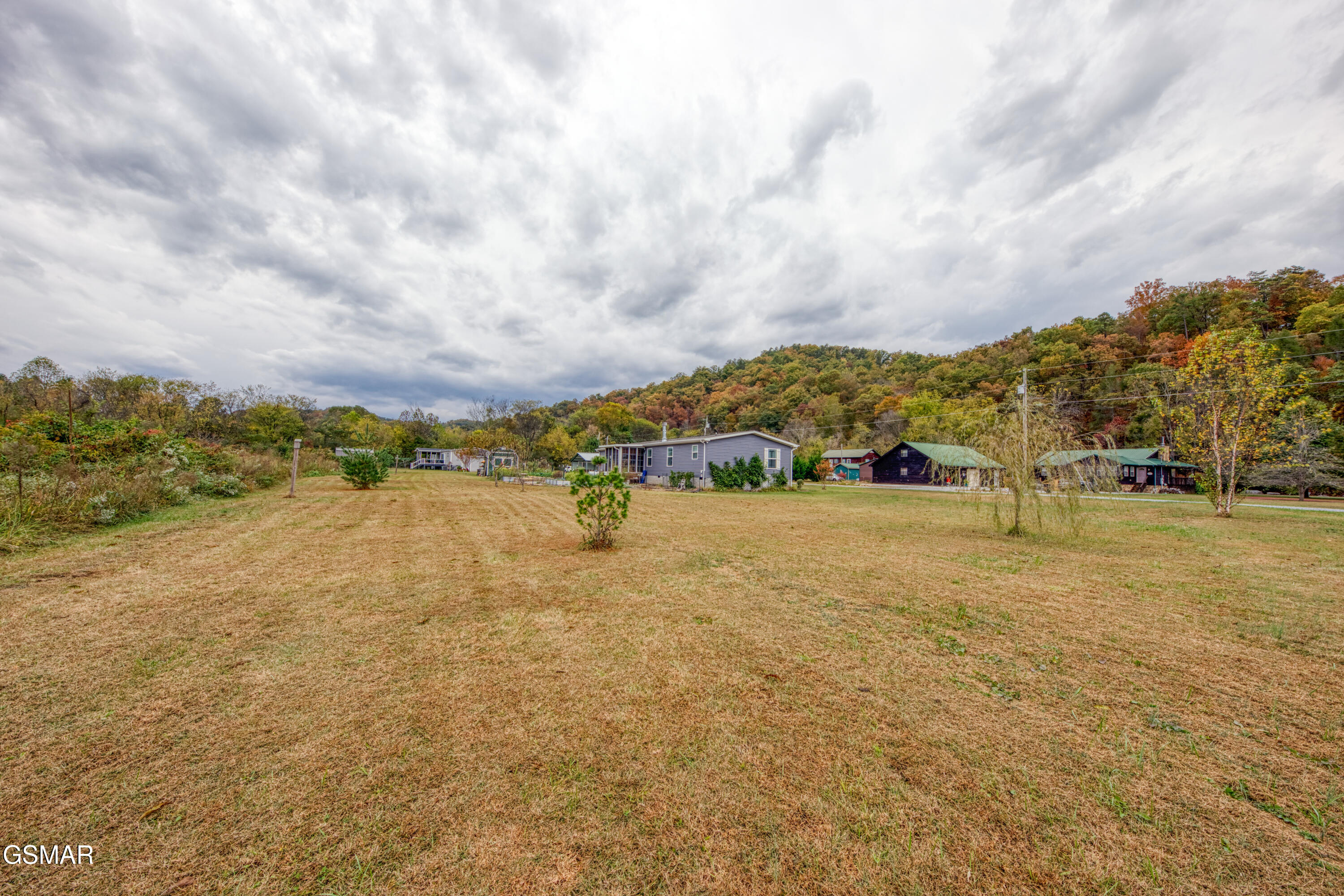 3143 Webbing Way Cosby TN 37722