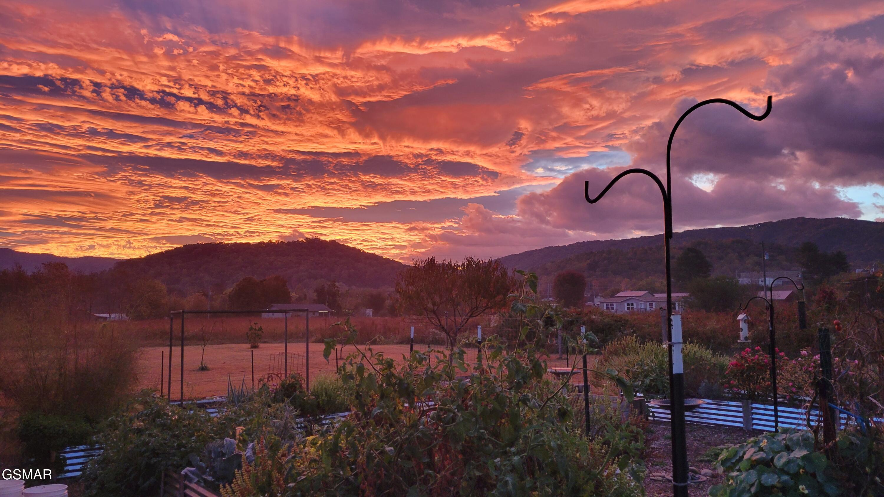 3143 Webbing Way Cosby TN 37722