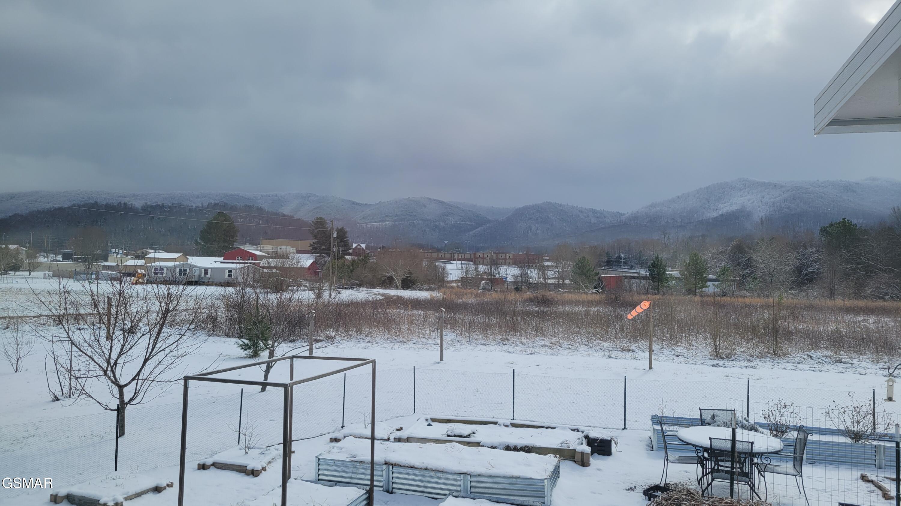 3143 Webbing Way Cosby TN 37722