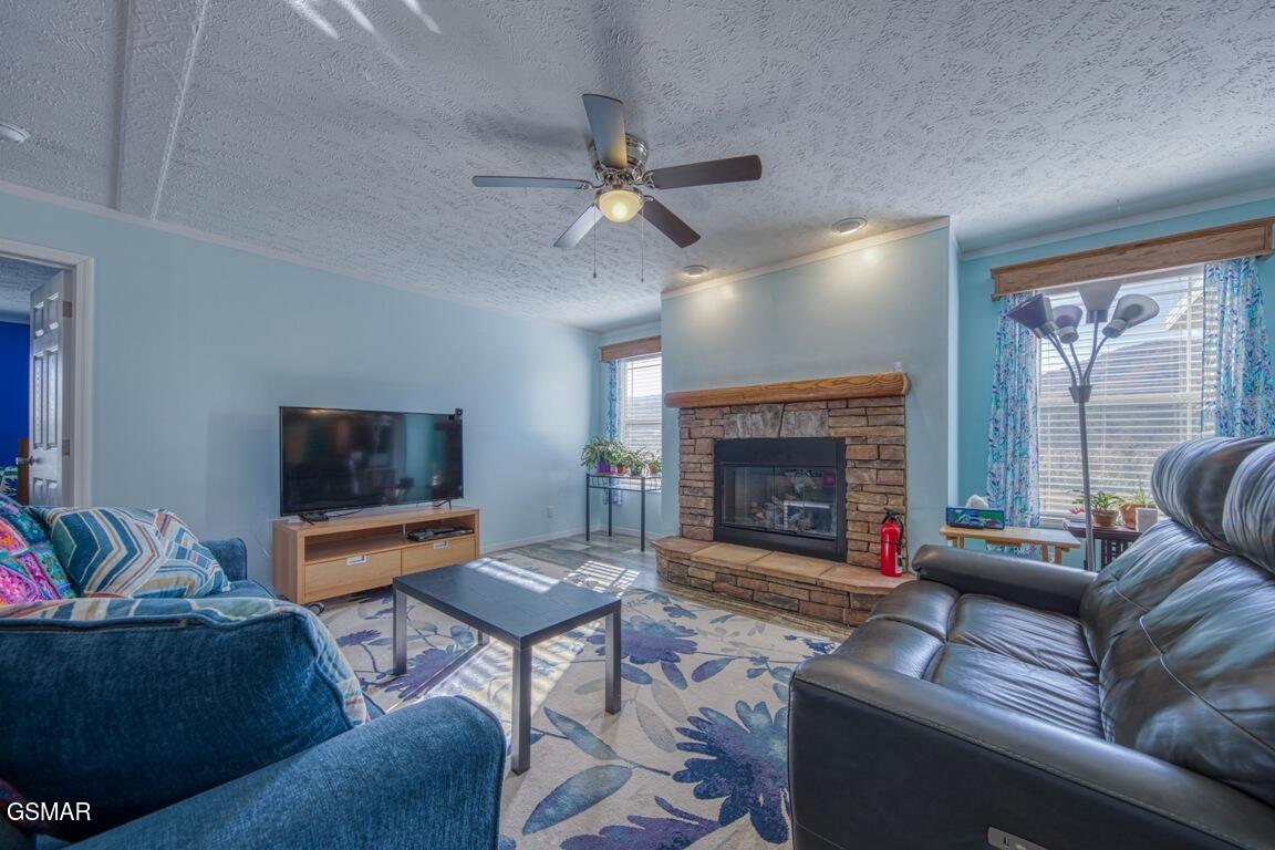 3143 Webbing Way Cosby TN 37722