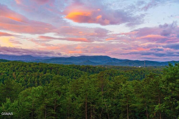 2037 Mccarter Drive Sevierville TN 37862