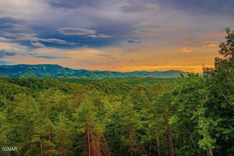 2037 Mccarter Drive Sevierville TN 37862