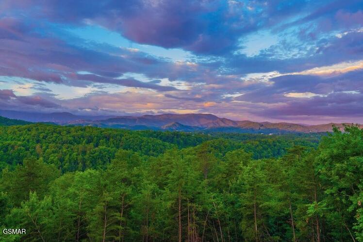 2037 Mccarter Drive Sevierville TN 37862