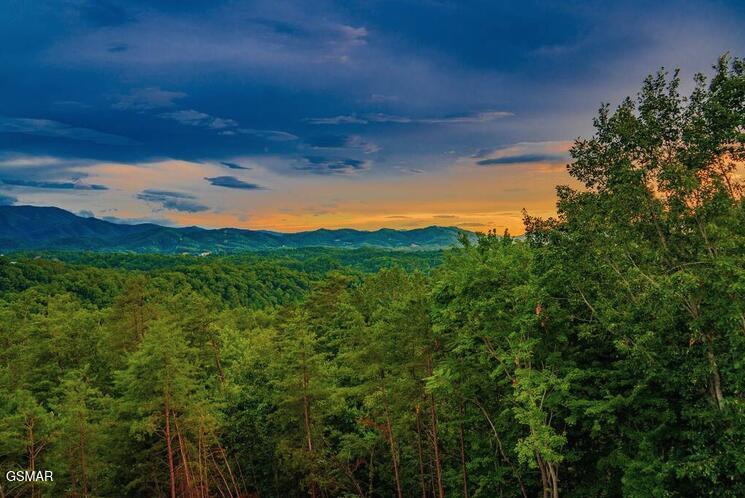 2037 Mccarter Drive Sevierville TN 37862