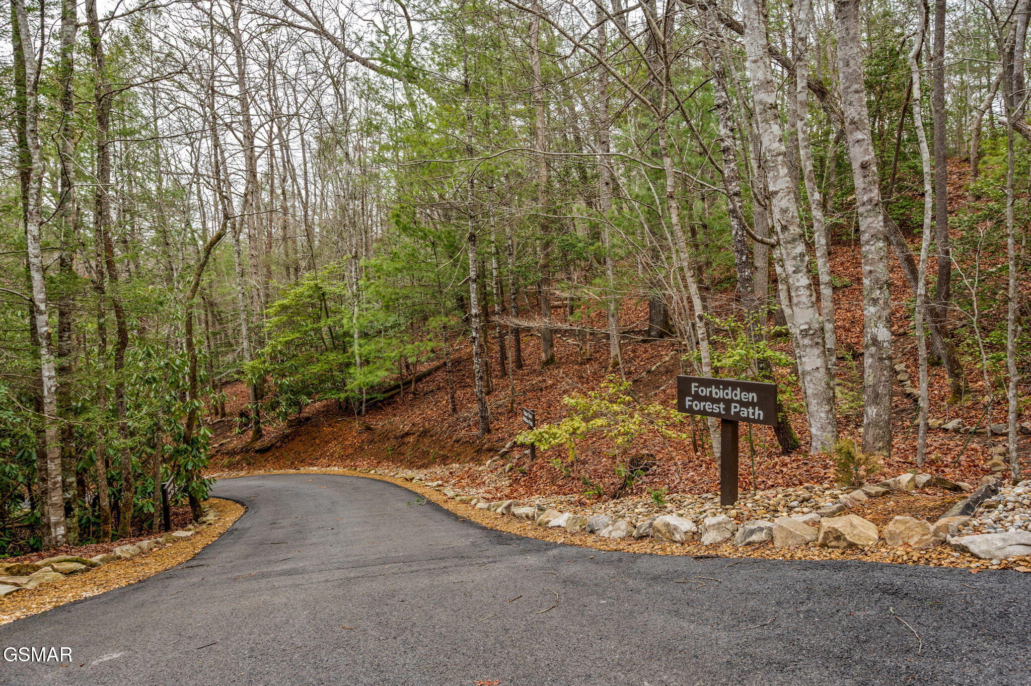 1903 Waters End Road Walland TN 37886