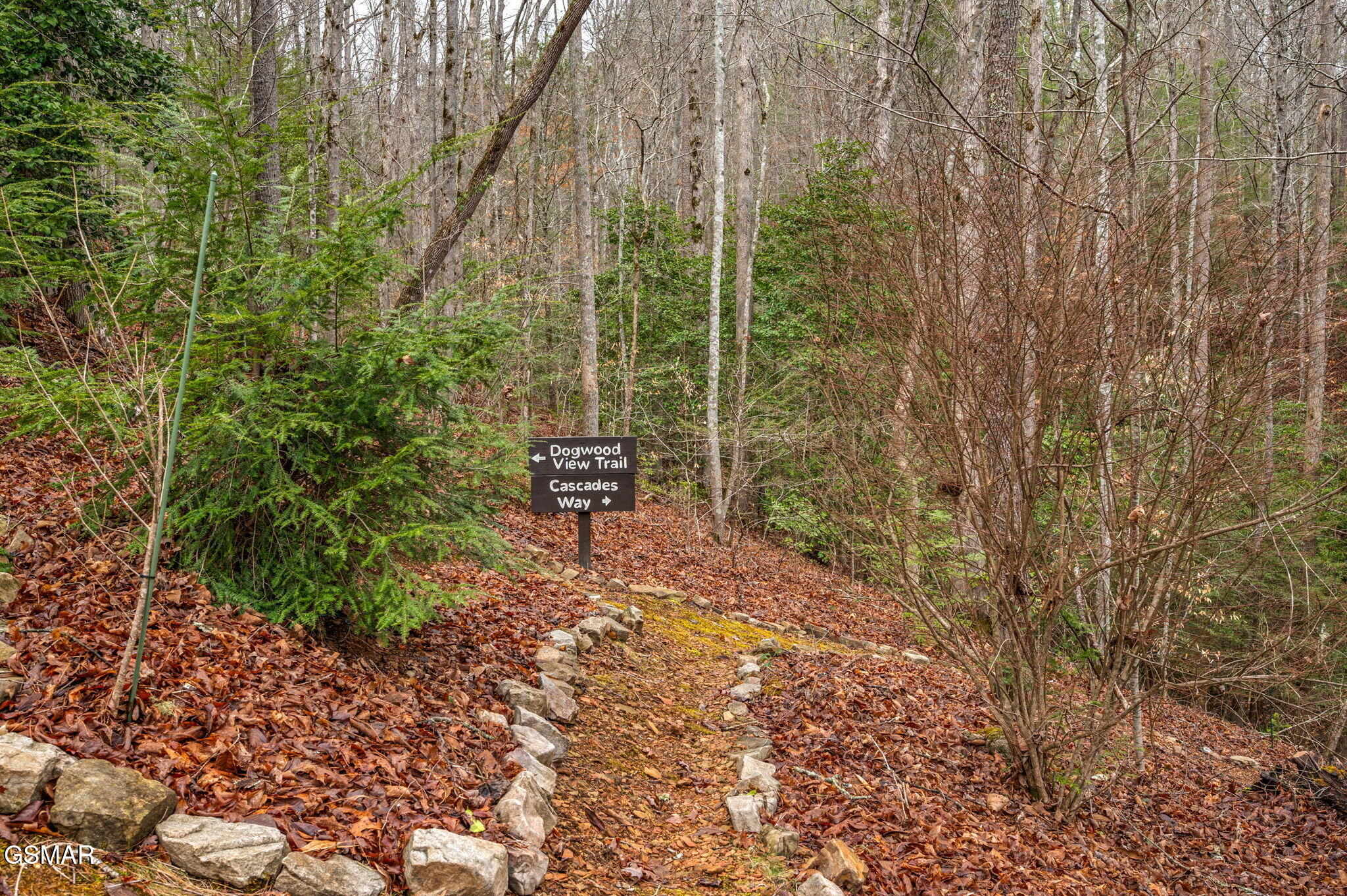 1903 Waters End Road Walland TN 37886