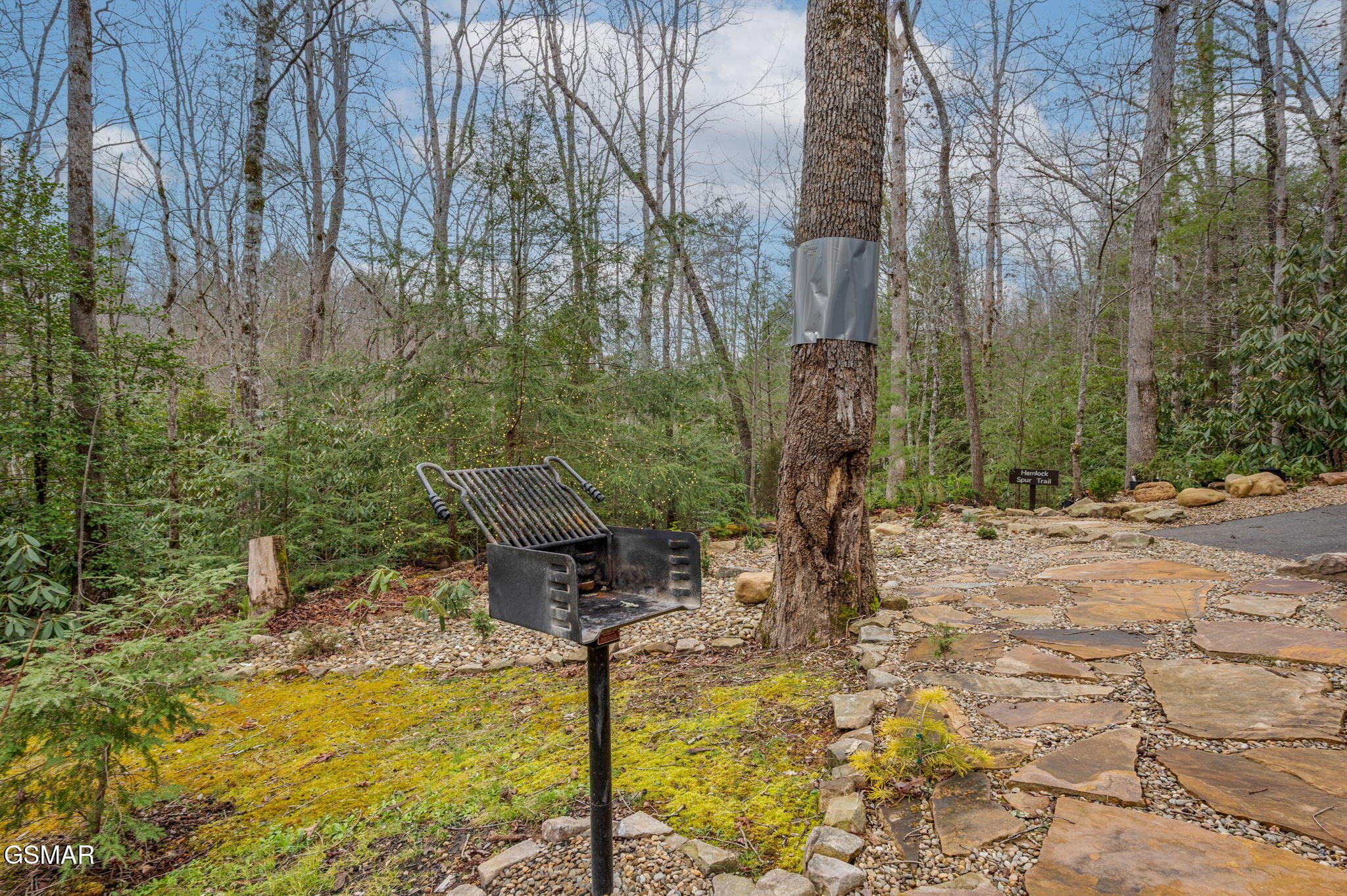 1903 Waters End Road Walland TN 37886