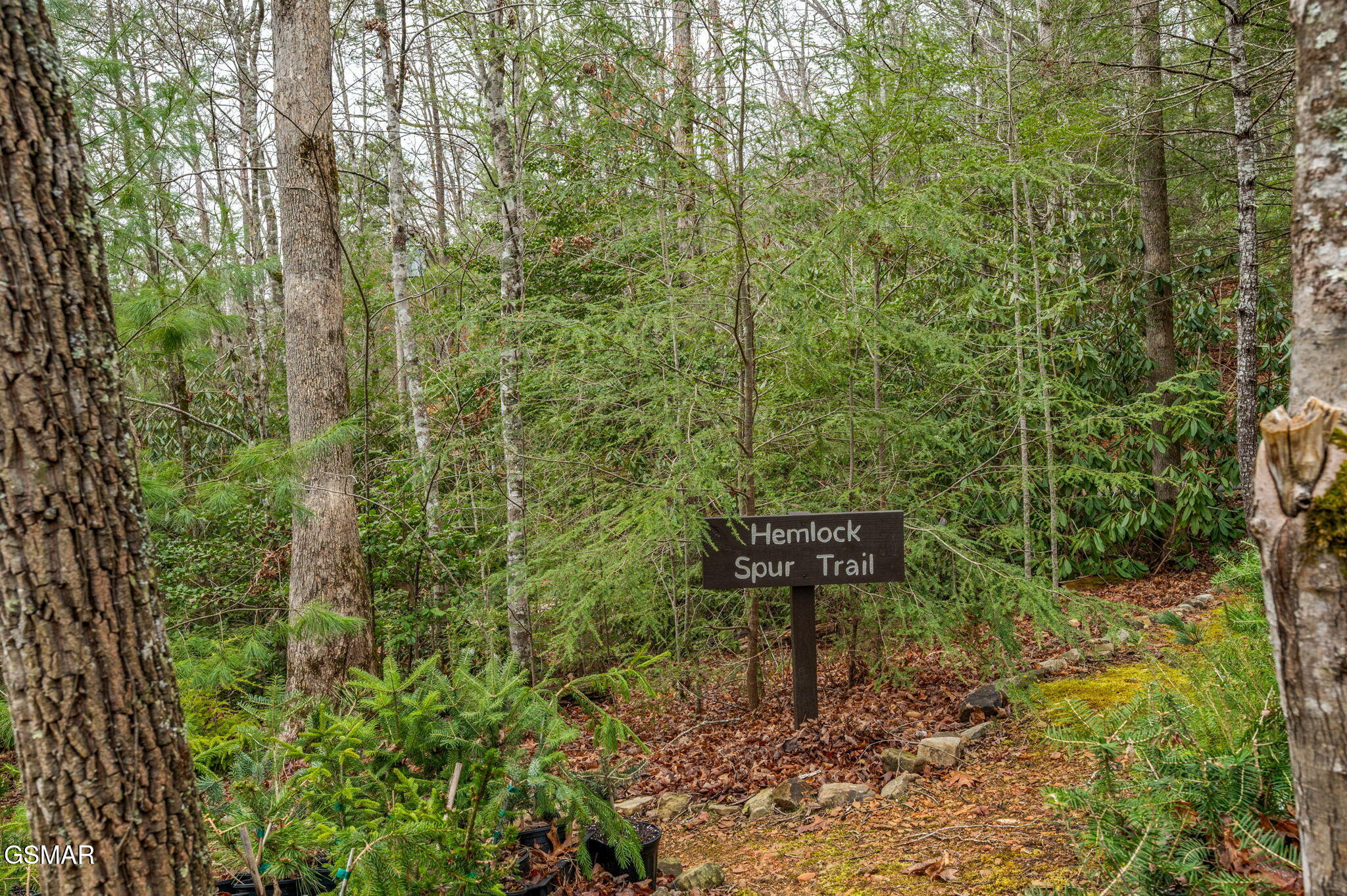 1903 Waters End Road Walland TN 37886