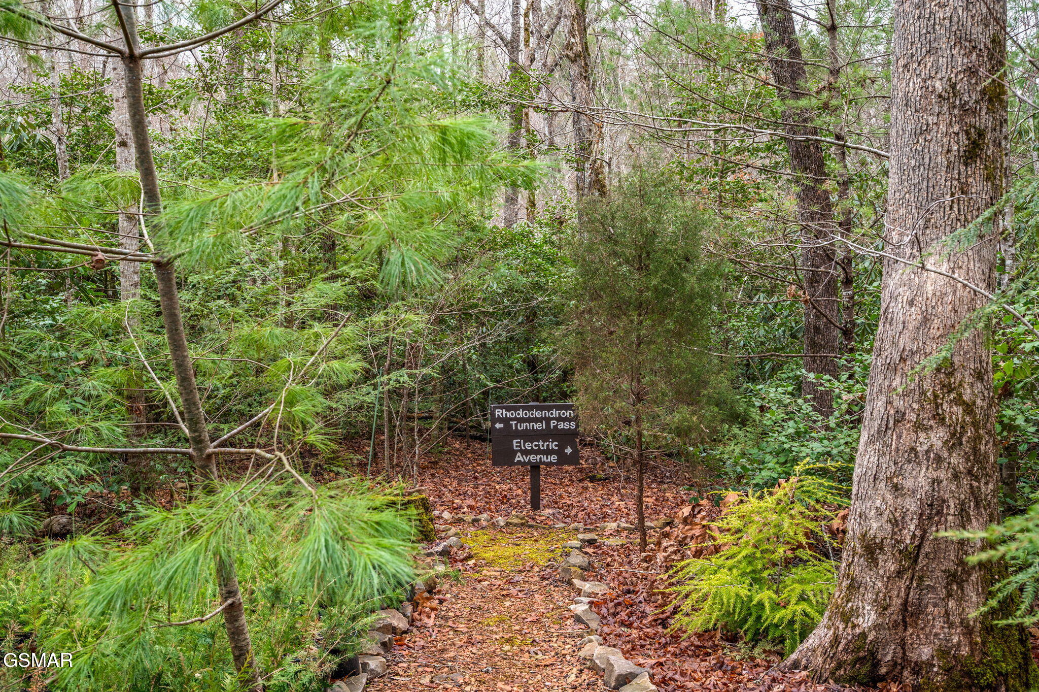 1903 Waters End Road Walland TN 37886