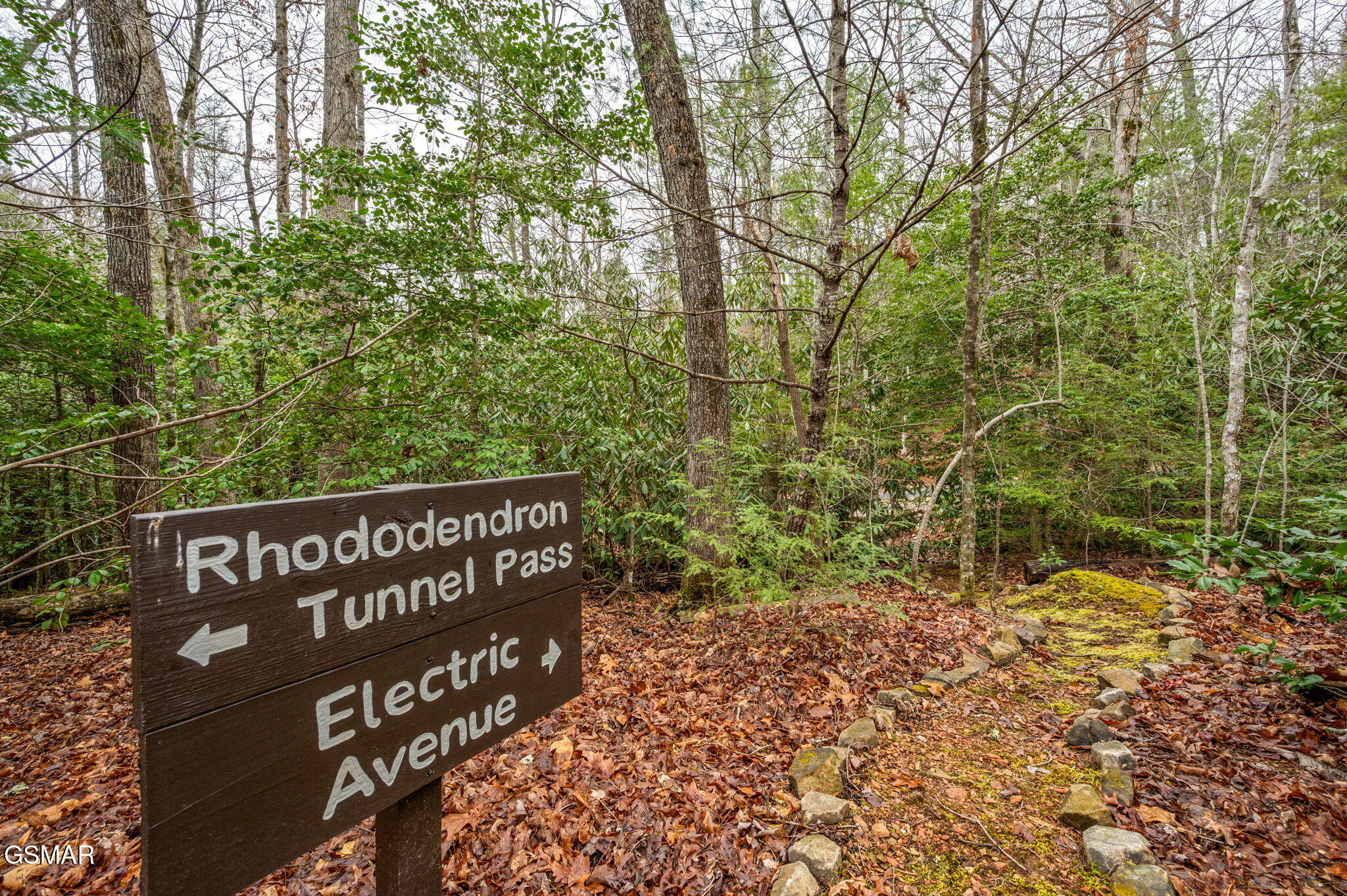 1903 Waters End Road Walland TN 37886