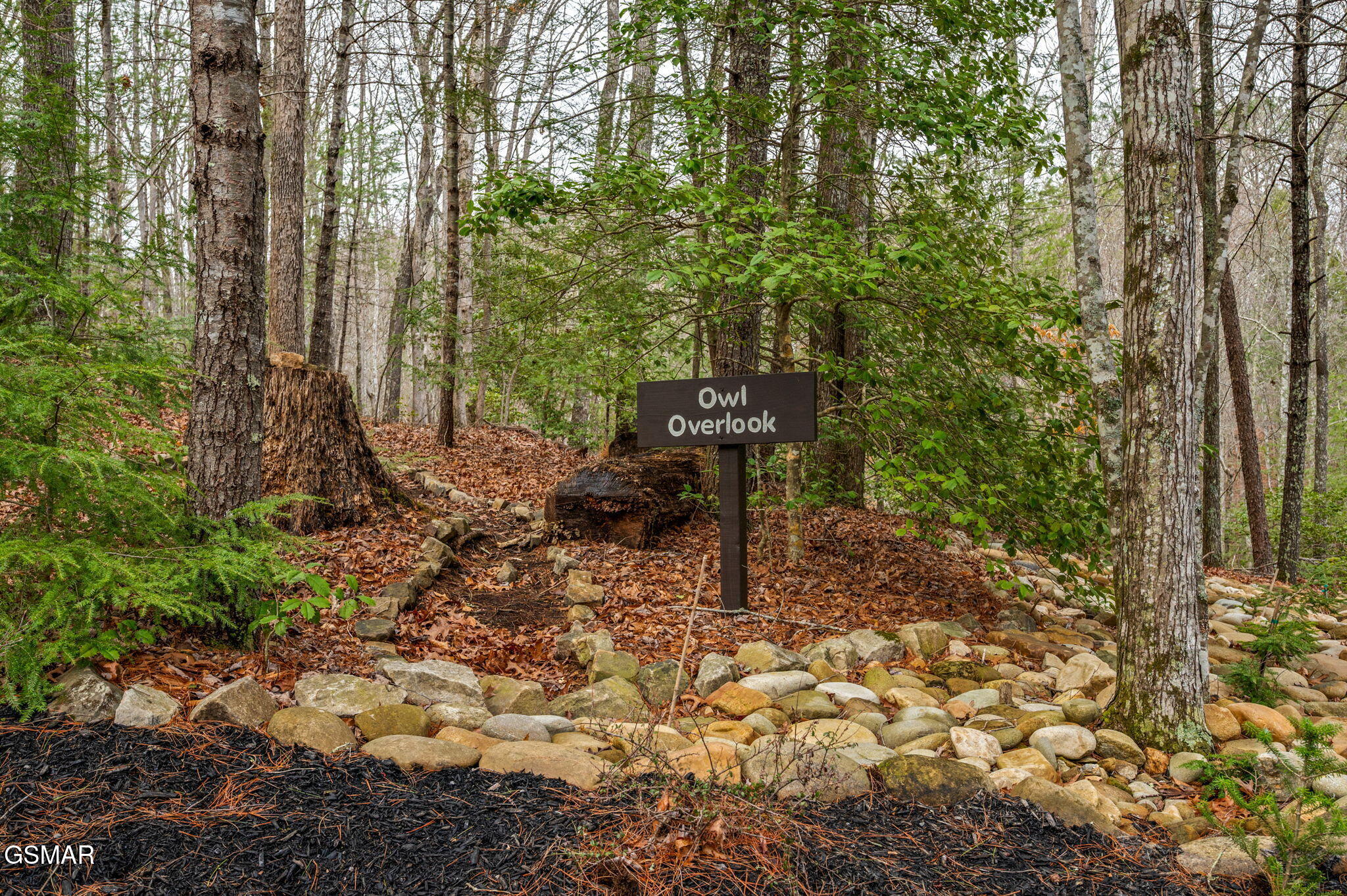 1903 Waters End Road Walland TN 37886