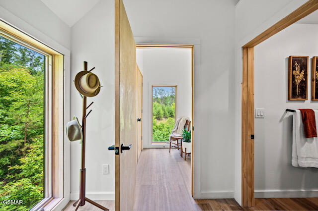 3110 Sourwood Way Sevierville TN 37862