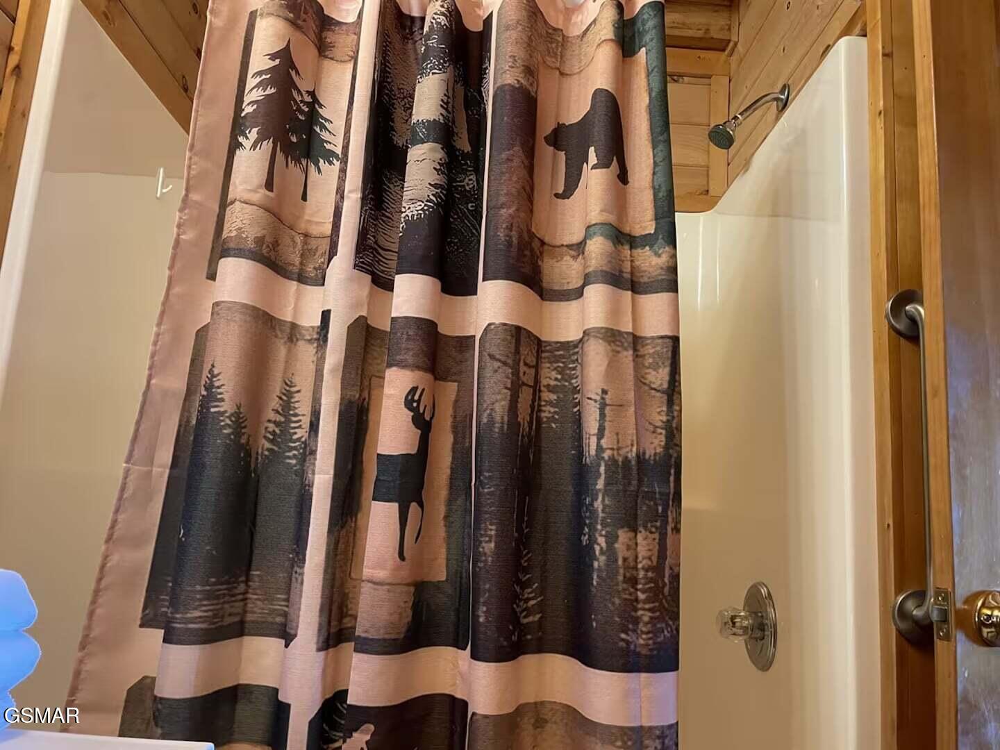 929 Buck Way Sevierville TN 37876