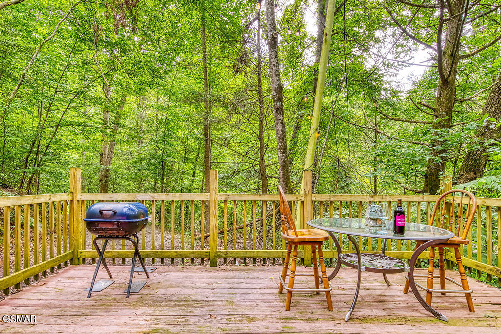 1513 Tyler Way Sevierville TN 37876