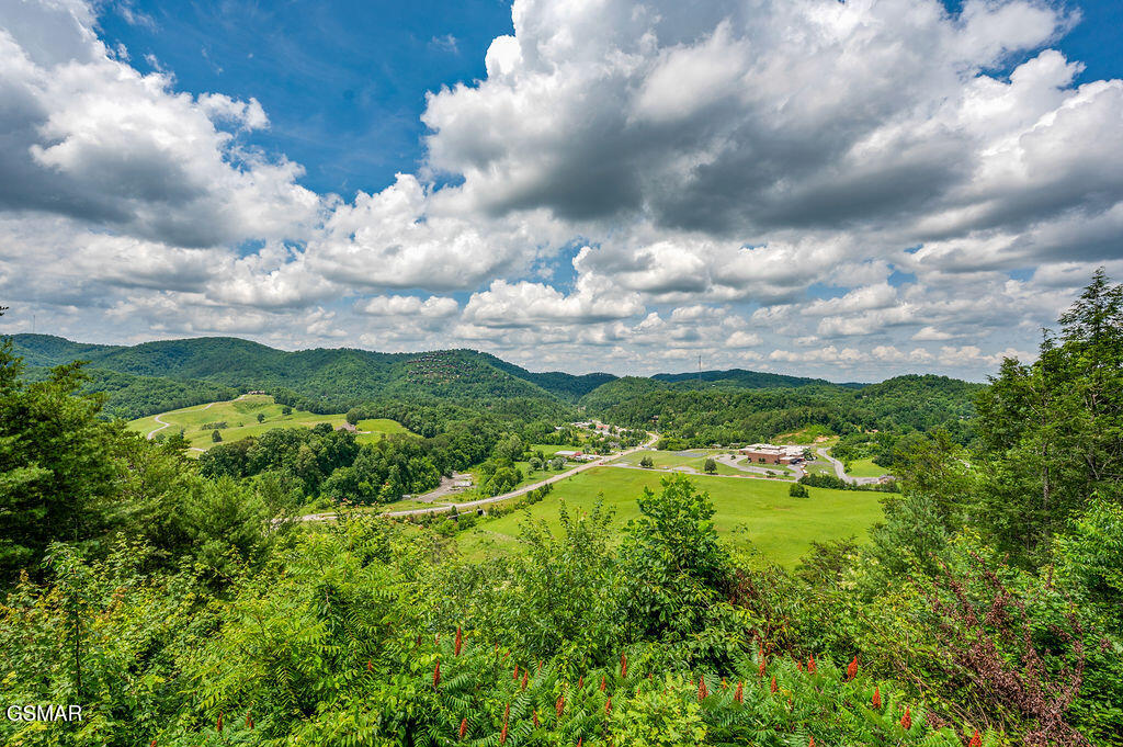 4238 Dollys Drive Sevierville TN 37876