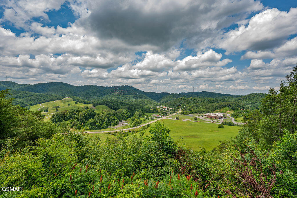 4238 Dollys Drive Sevierville TN 37876