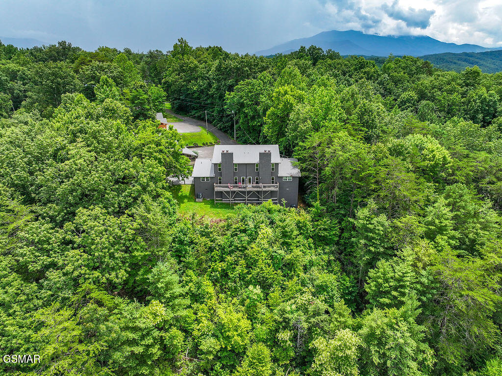 4238 Dollys Drive Sevierville TN 37876