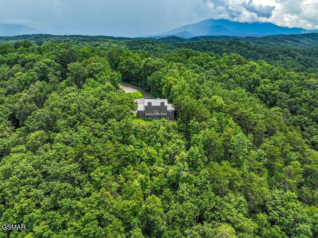 4238 Dollys Drive Sevierville TN 37876