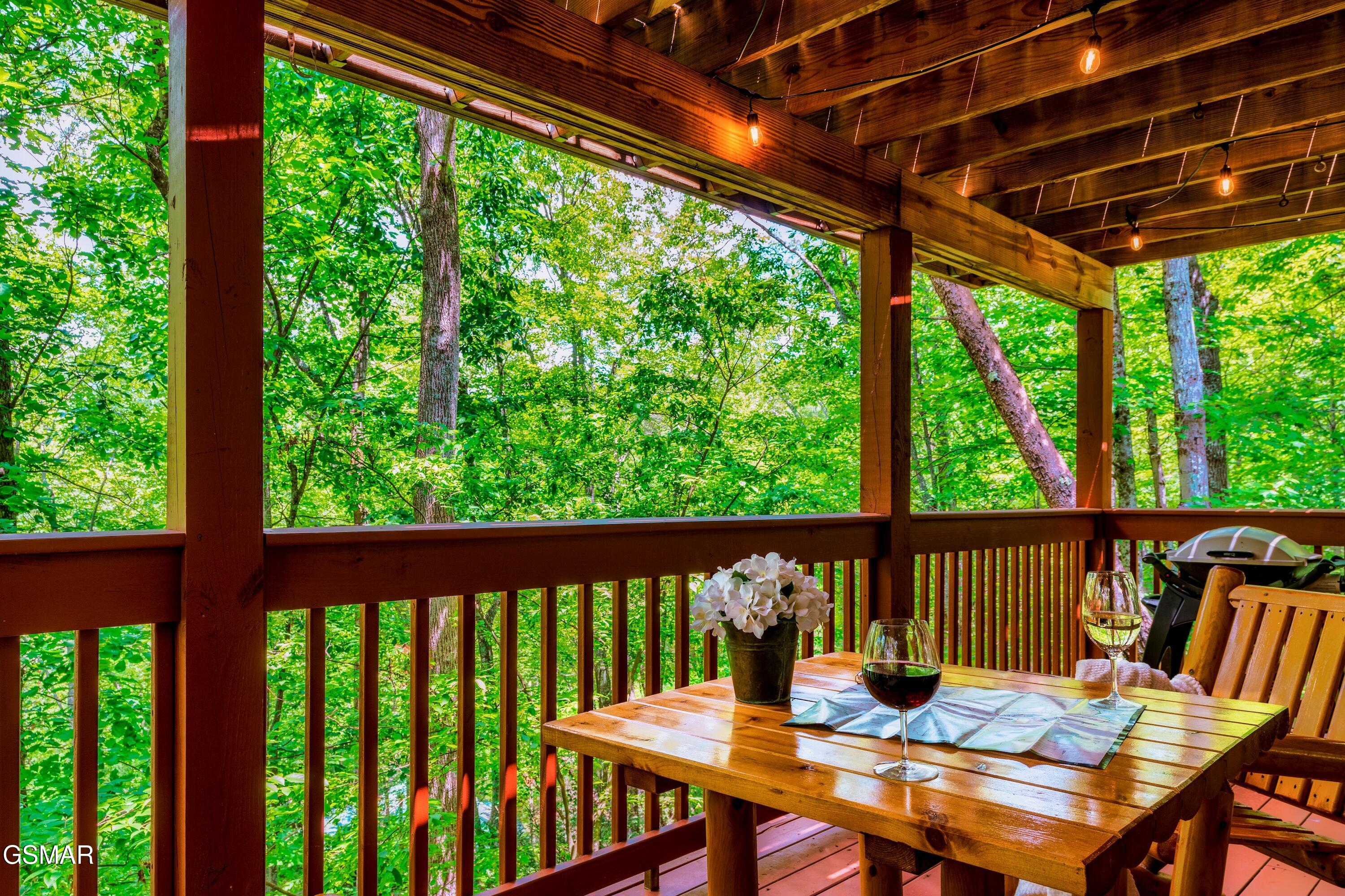 3049 Brothers Way Sevierville TN 37862