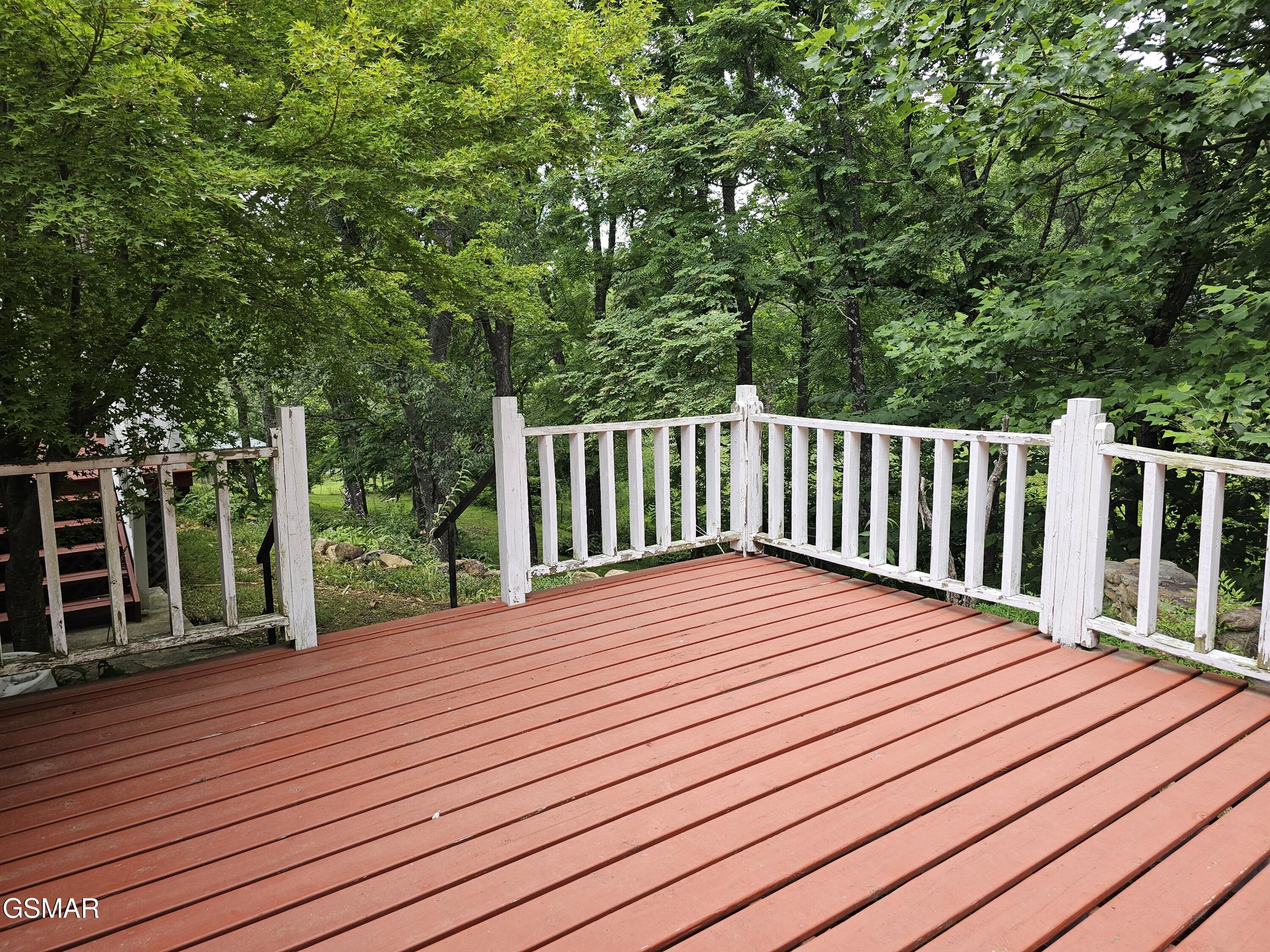 925 Tweed Springs Road Greeneville TN 37743
