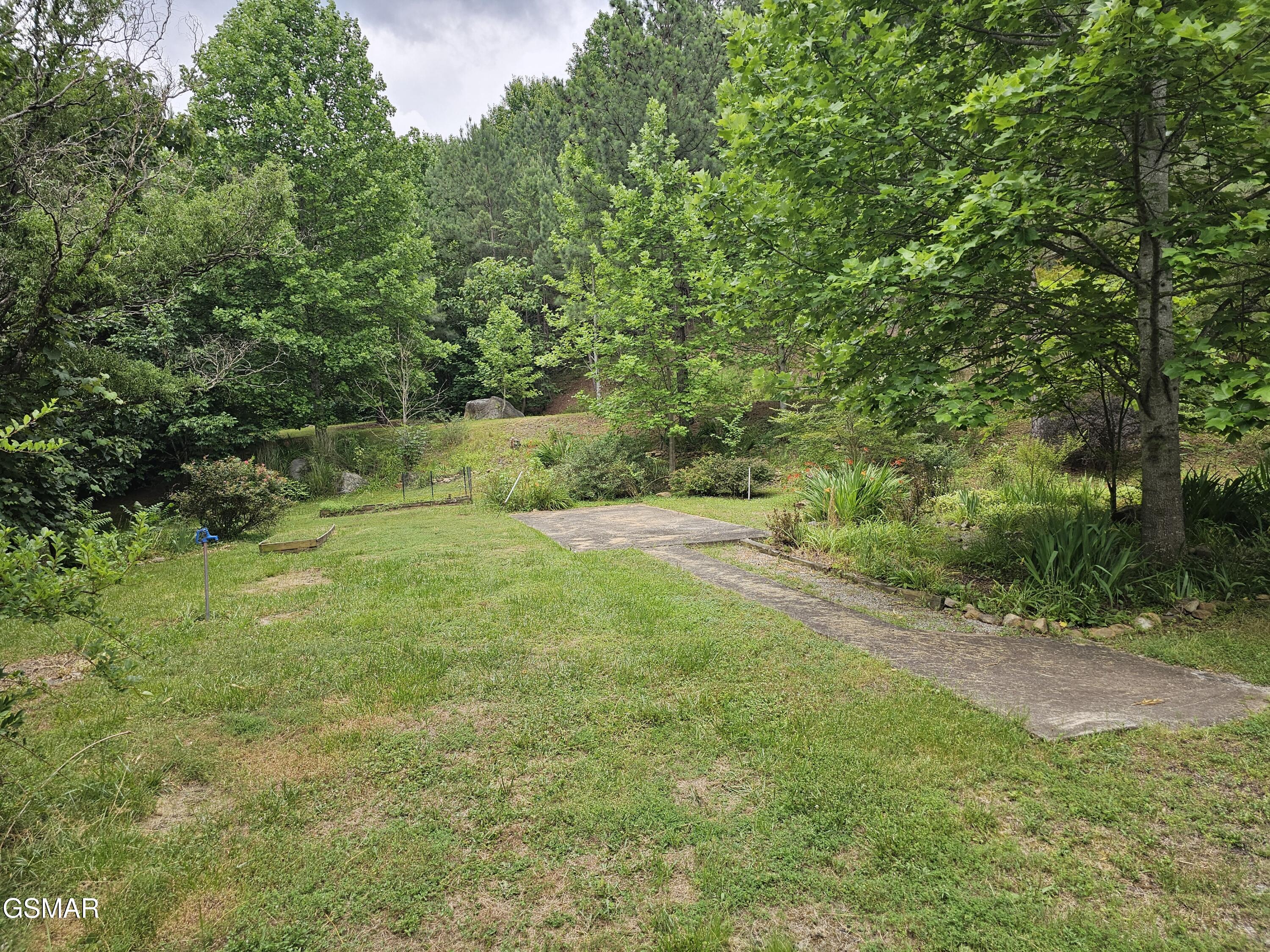 925 Tweed Springs Road Greeneville TN 37743