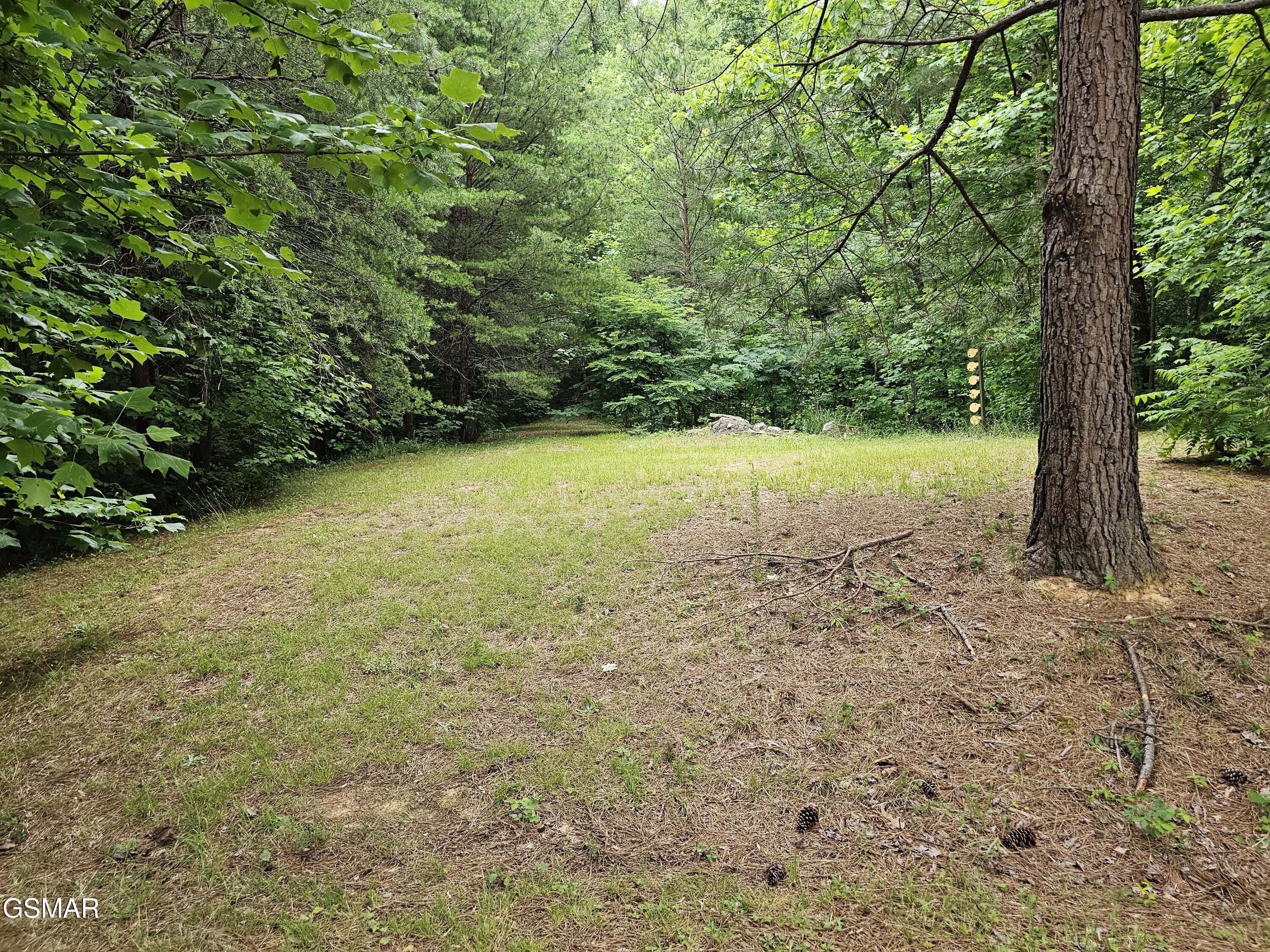 925 Tweed Springs Road Greeneville TN 37743