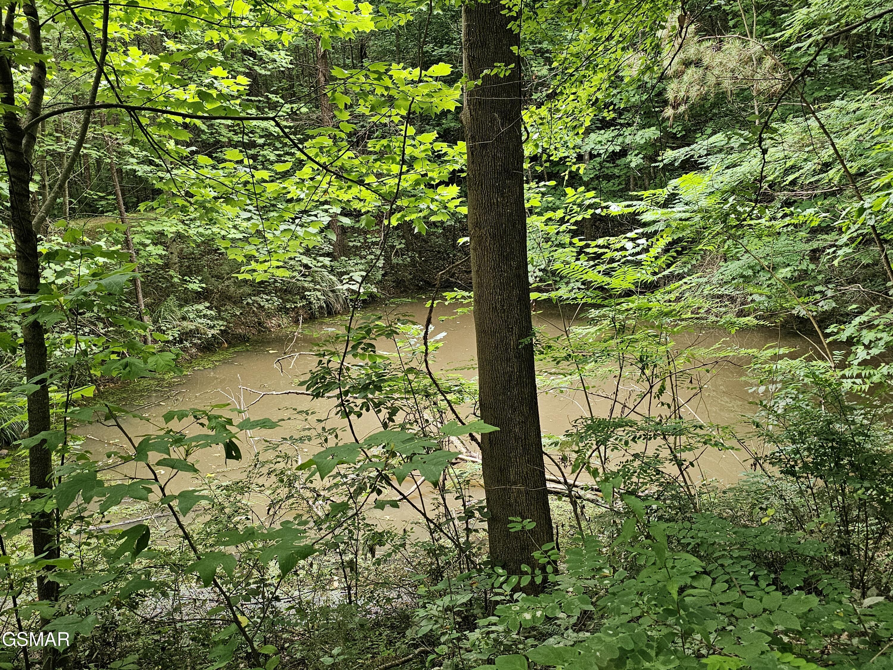 925 Tweed Springs Road Greeneville TN 37743