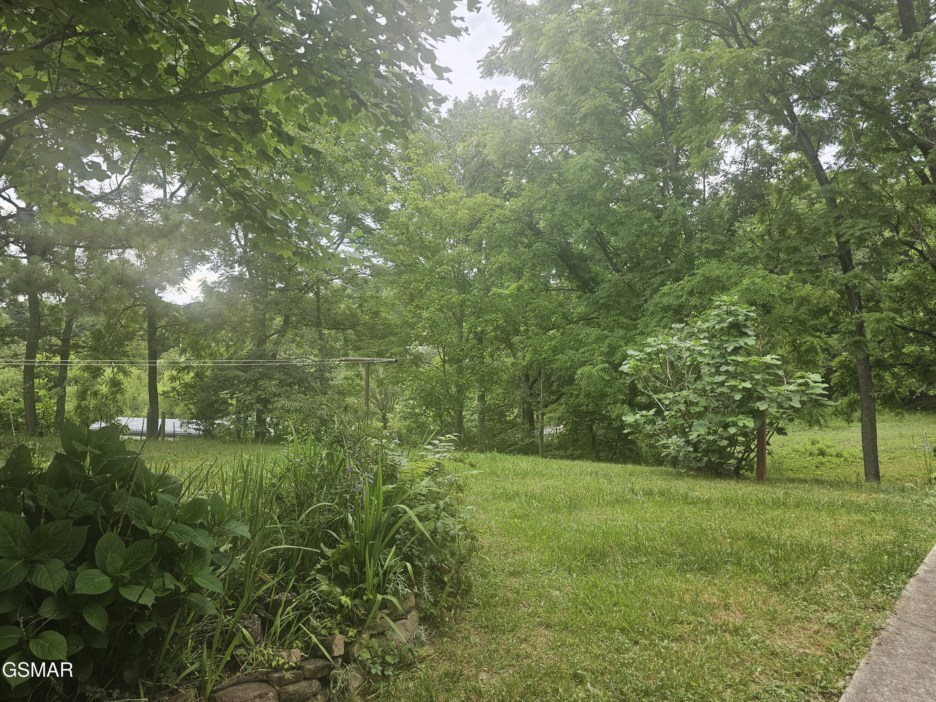 925 Tweed Springs Road Greeneville TN 37743