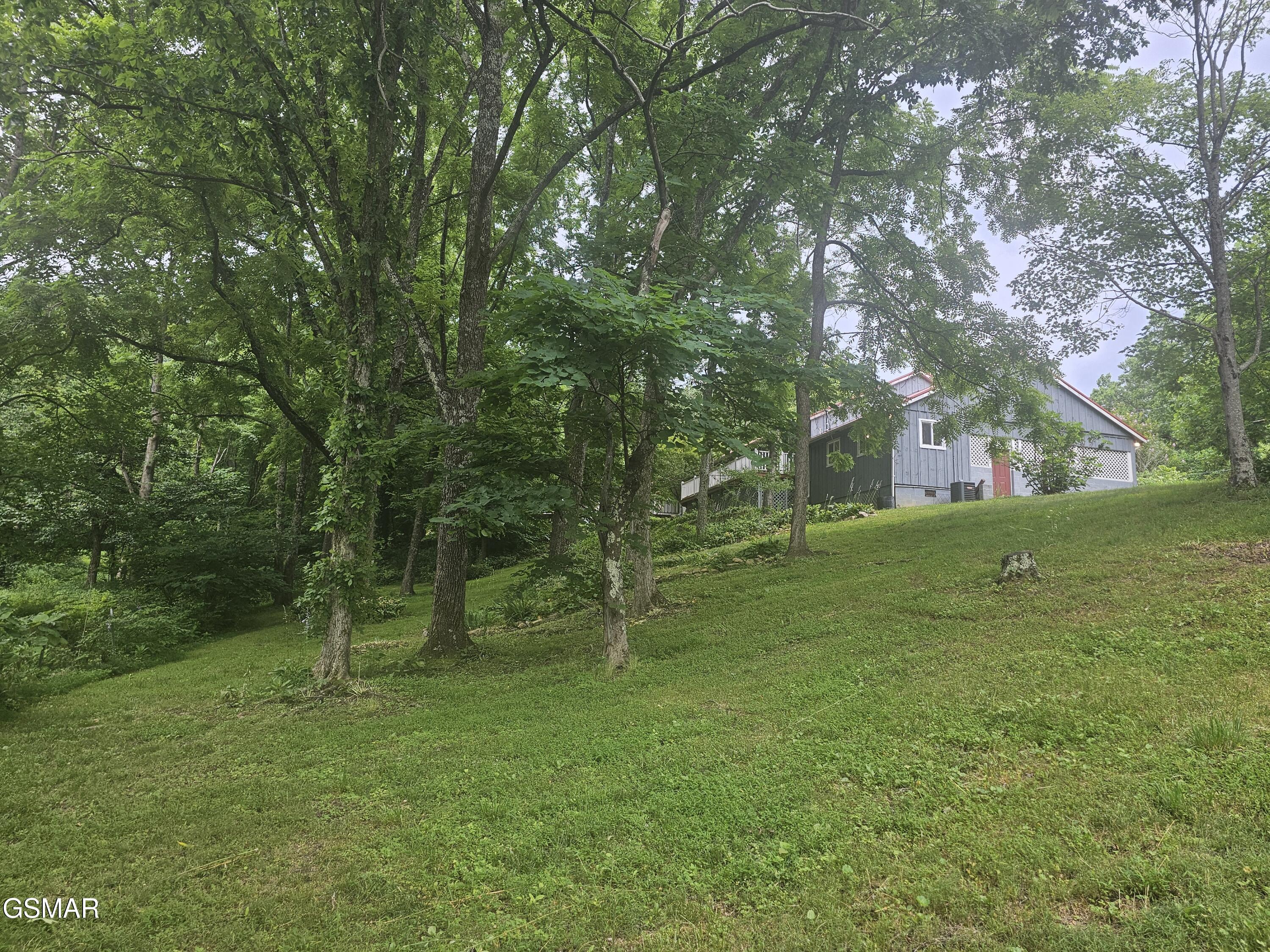 925 Tweed Springs Road Greeneville TN 37743