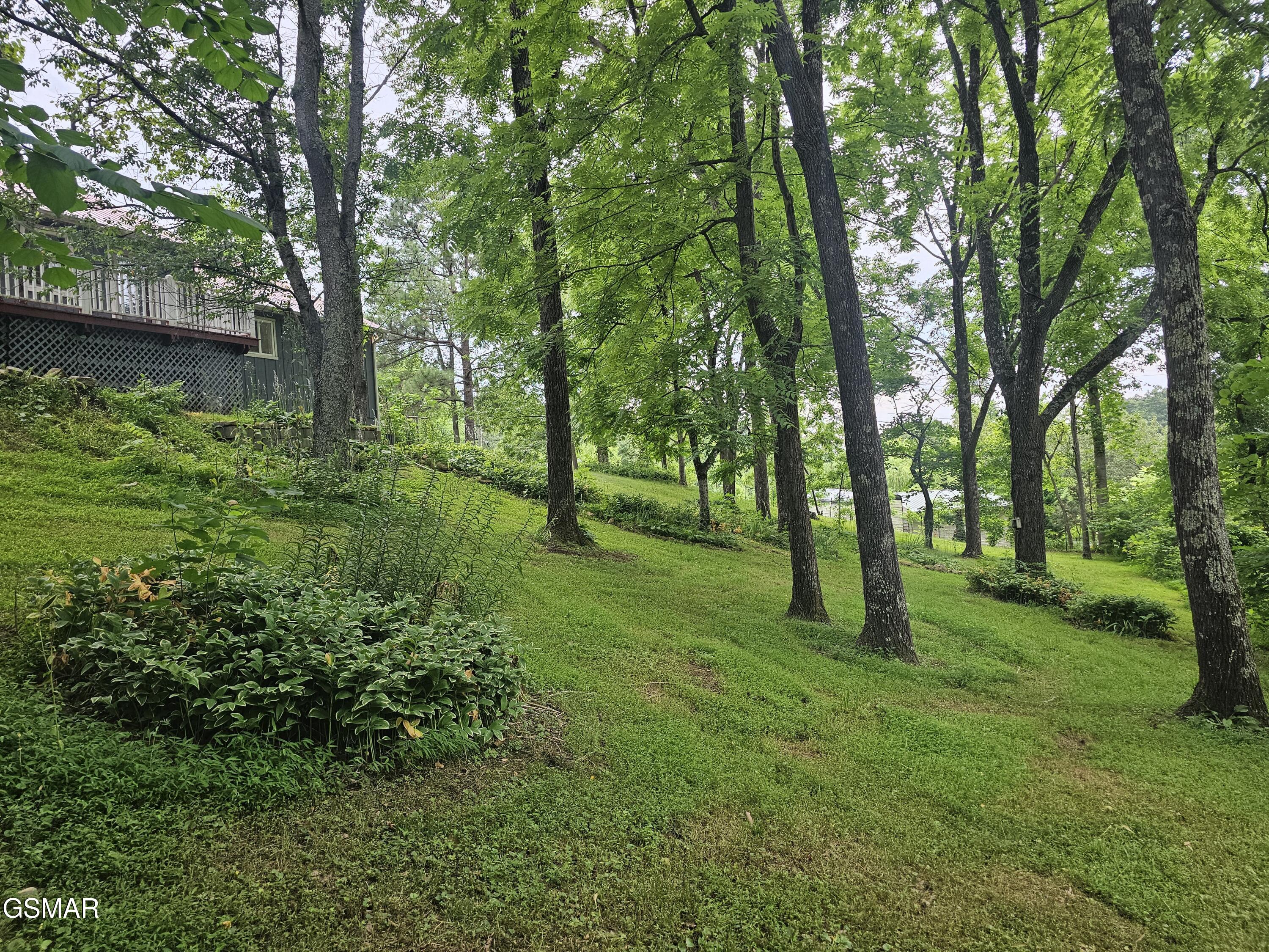 925 Tweed Springs Road Greeneville TN 37743