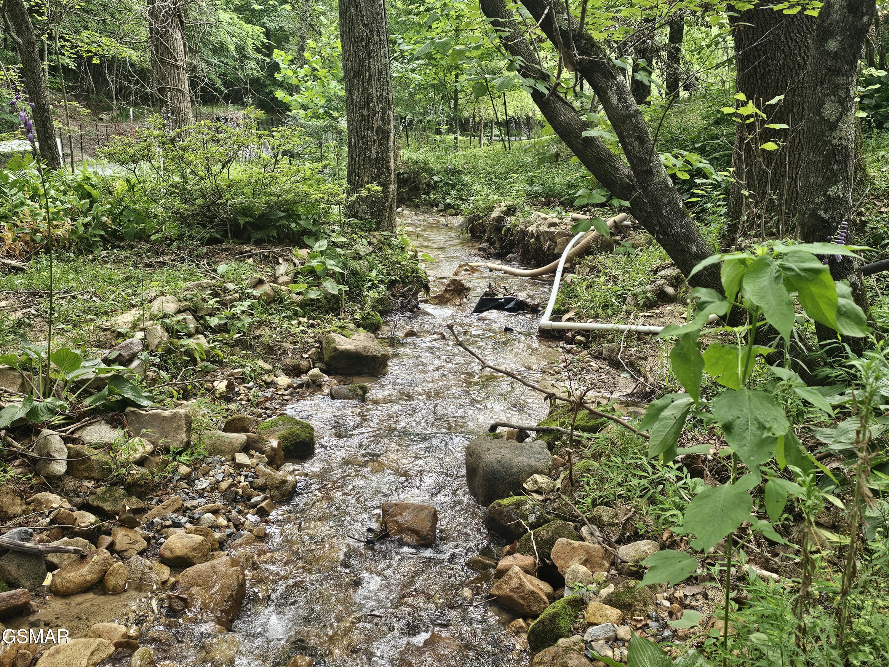 925 Tweed Springs Road Greeneville TN 37743