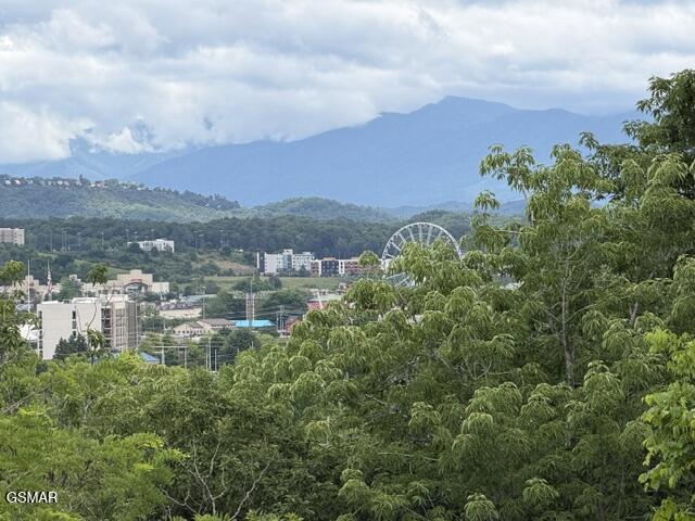 2205 Battle Hill Road Pigeon Forge TN 37863