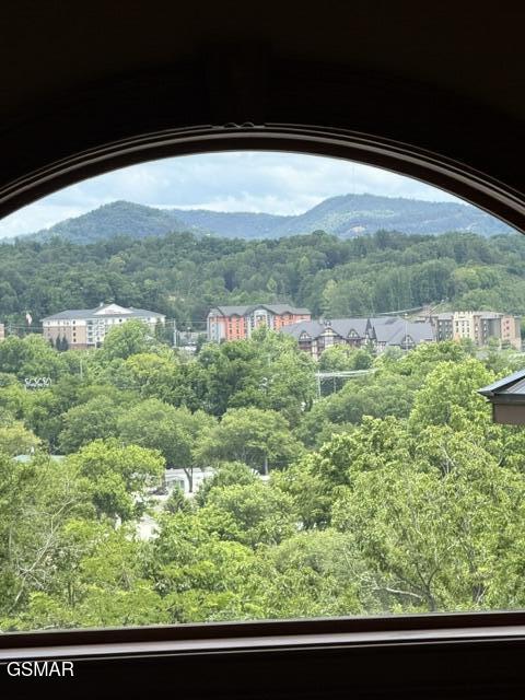 2205 Battle Hill Road Pigeon Forge TN 37863