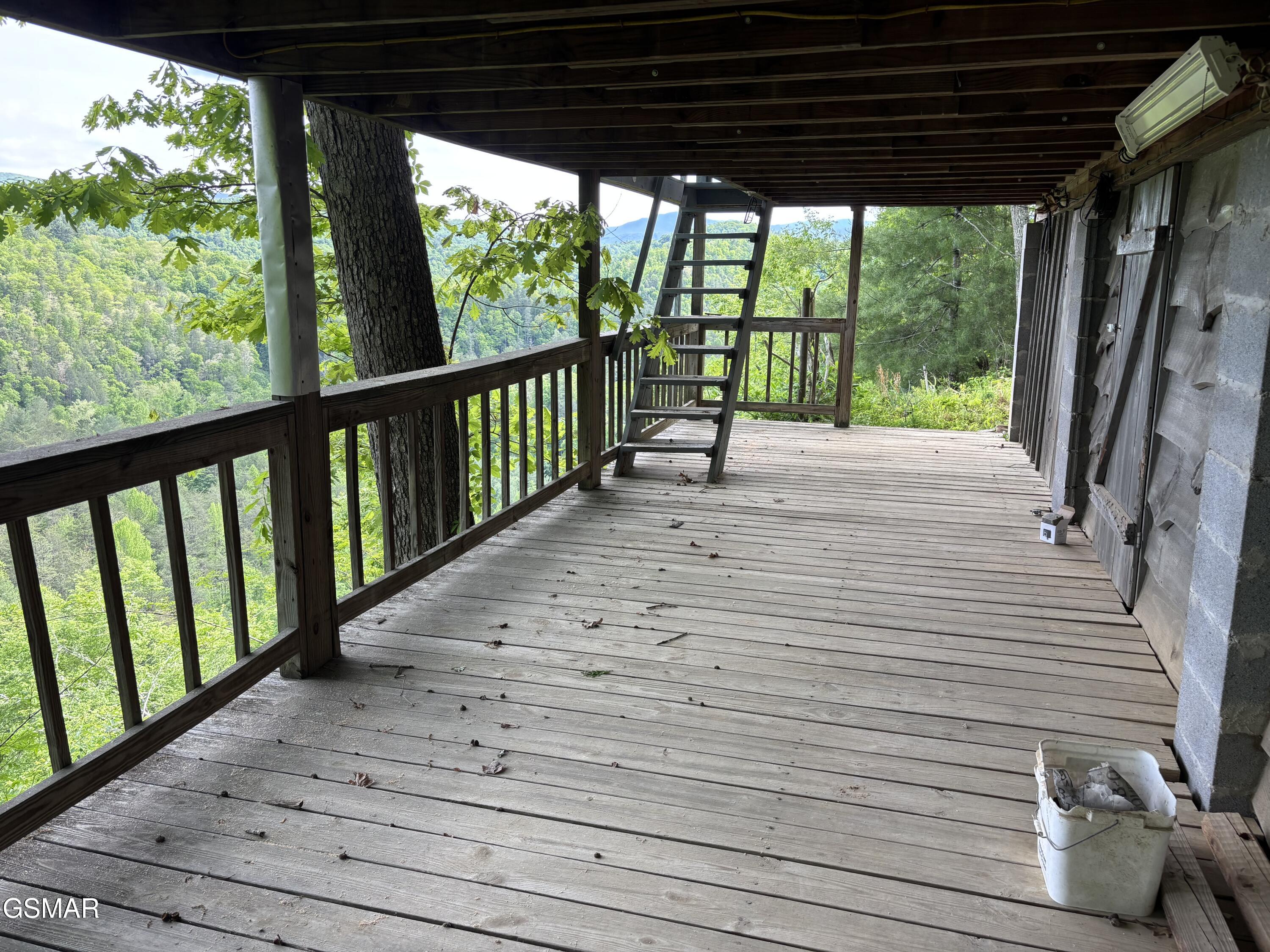 1450 Cabin Way Del Rio TN 37727