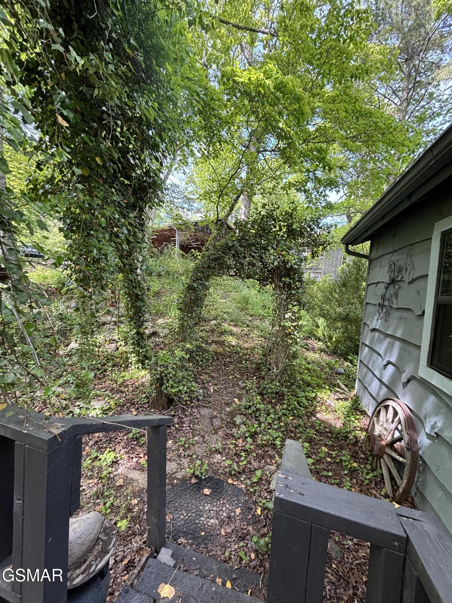 1450 Cabin Way Del Rio TN 37727