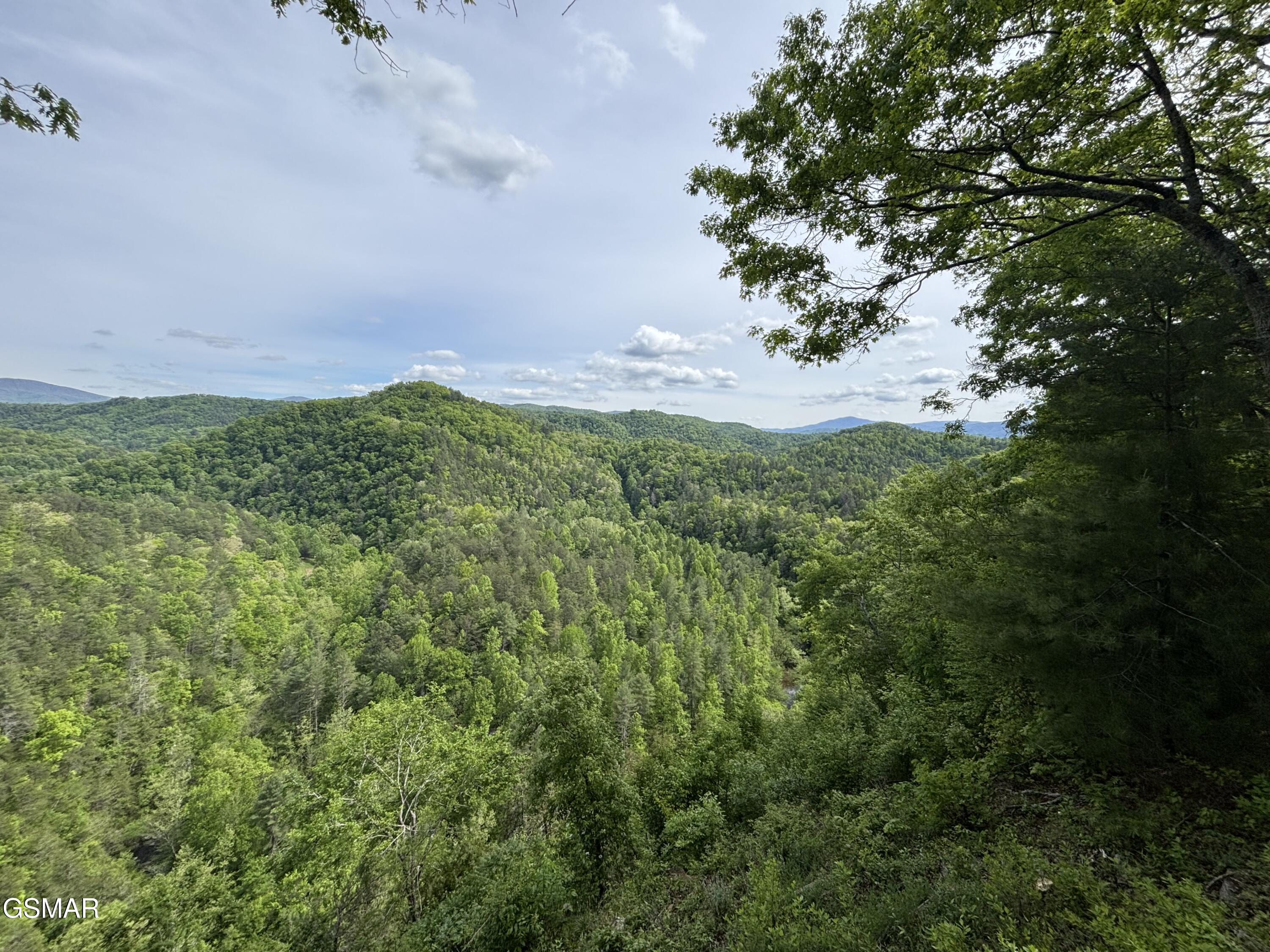 1450 Cabin Way Del Rio TN 37727