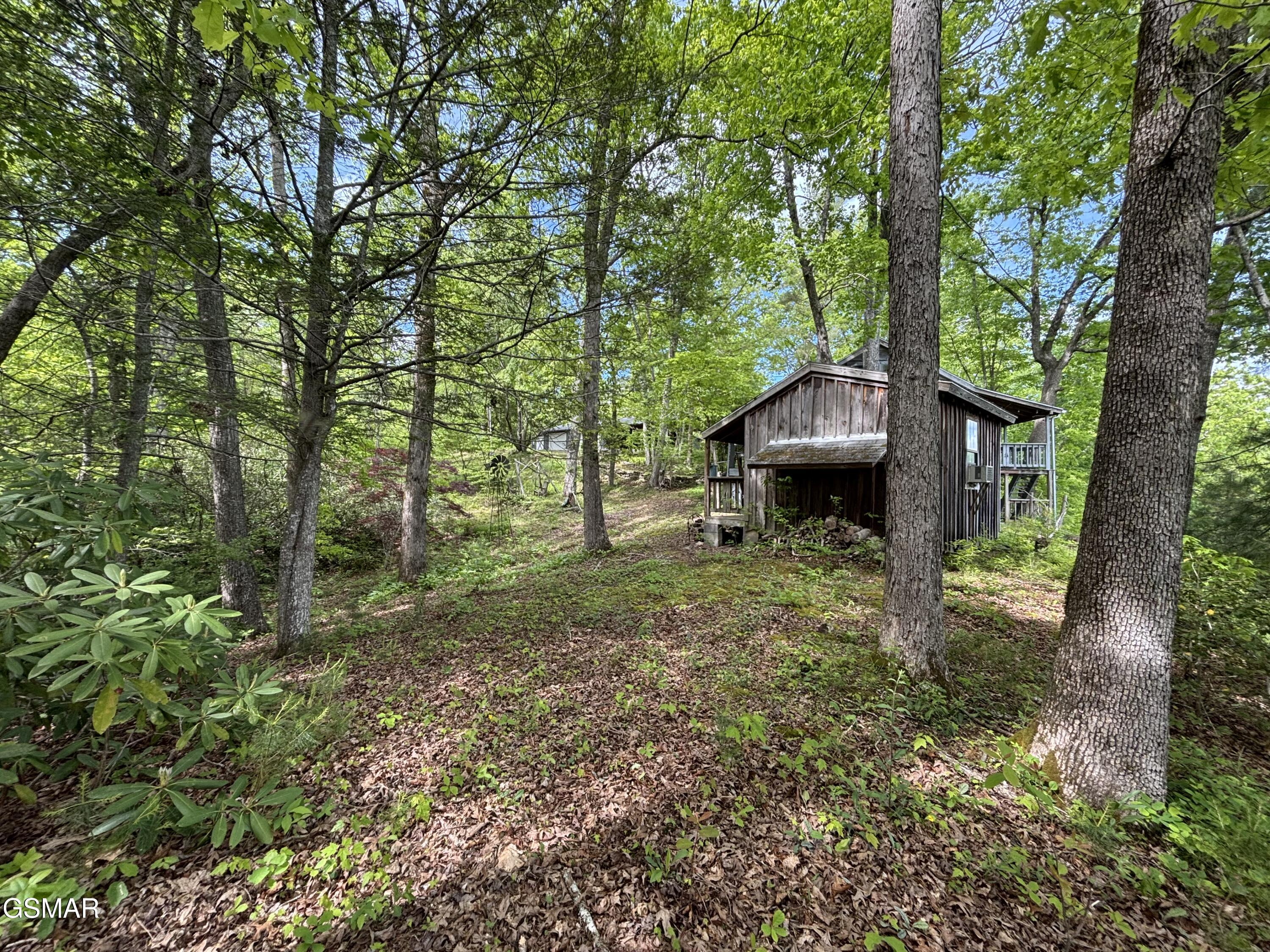1450 Cabin Way Del Rio TN 37727