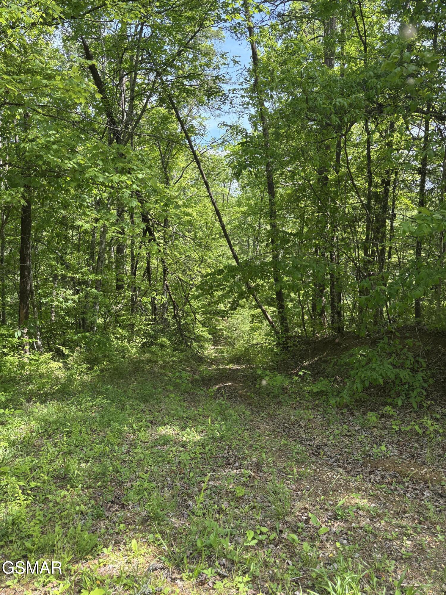 1450 Cabin Way Del Rio TN 37727