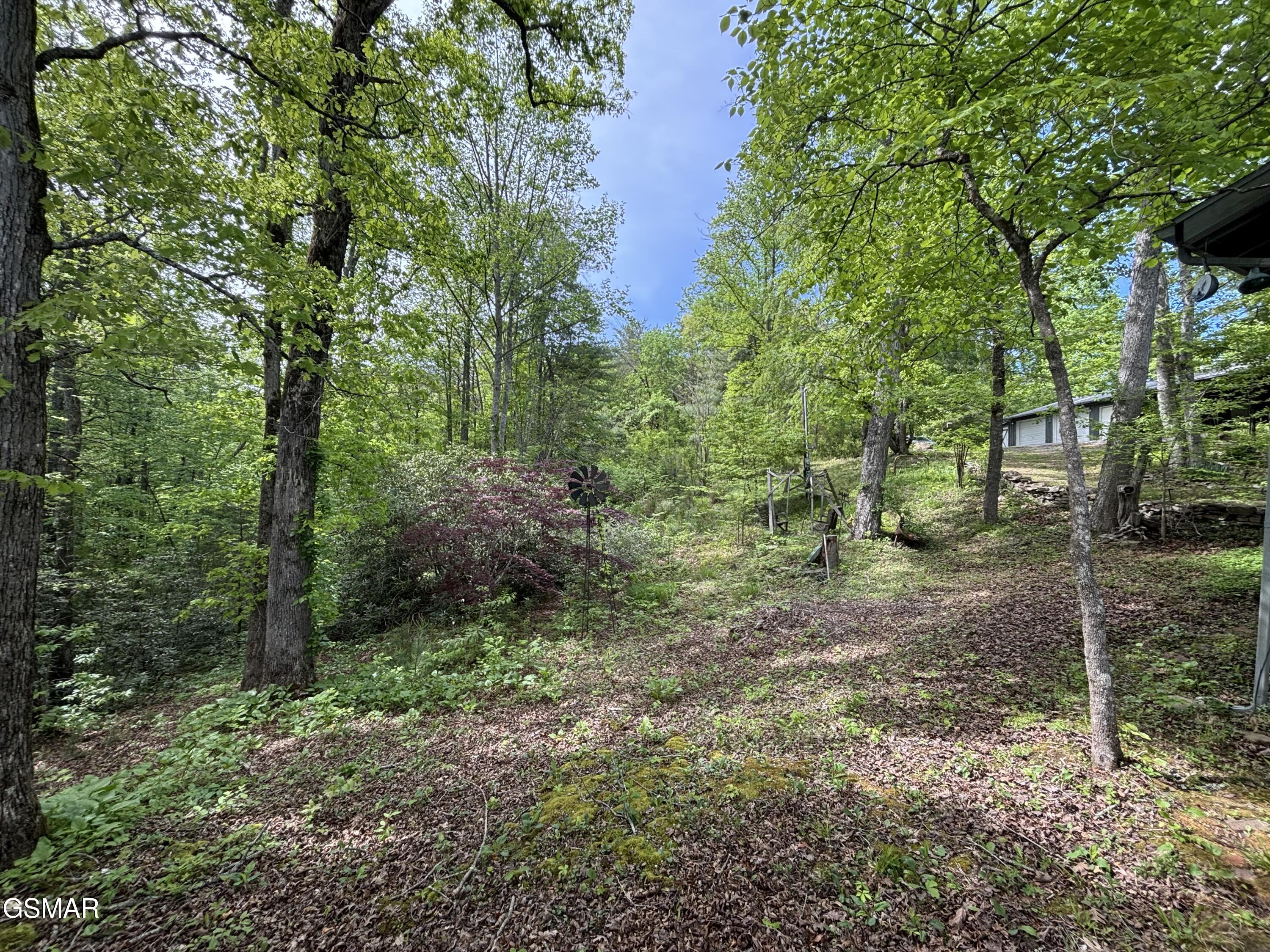 1450 Cabin Way Del Rio TN 37727
