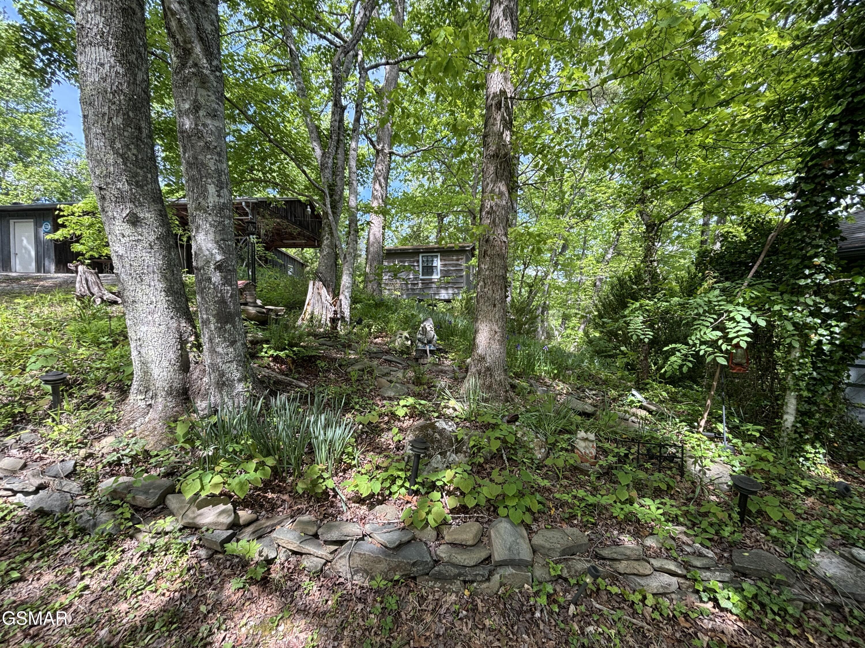 1450 Cabin Way Del Rio TN 37727