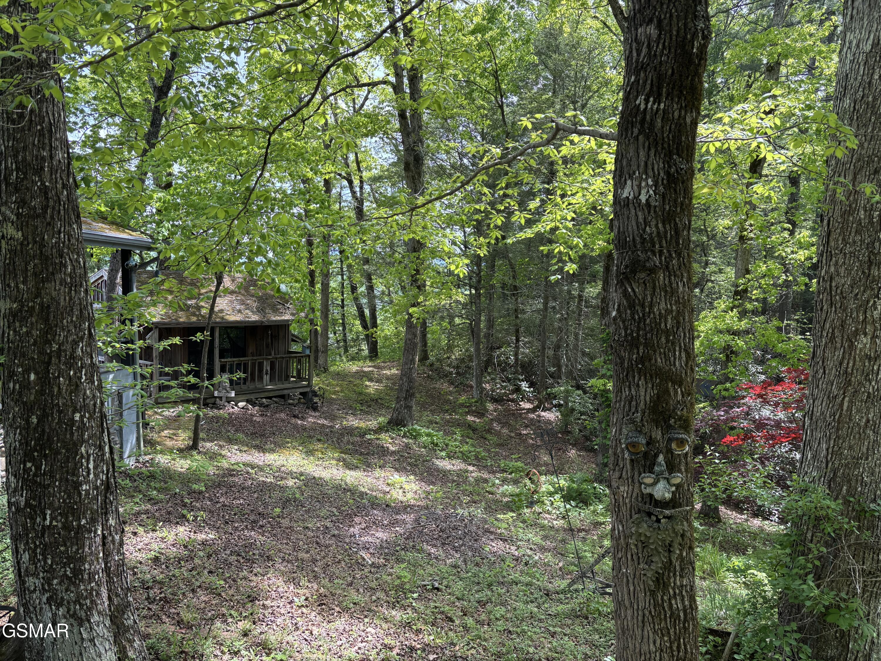 1450 Cabin Way Del Rio TN 37727