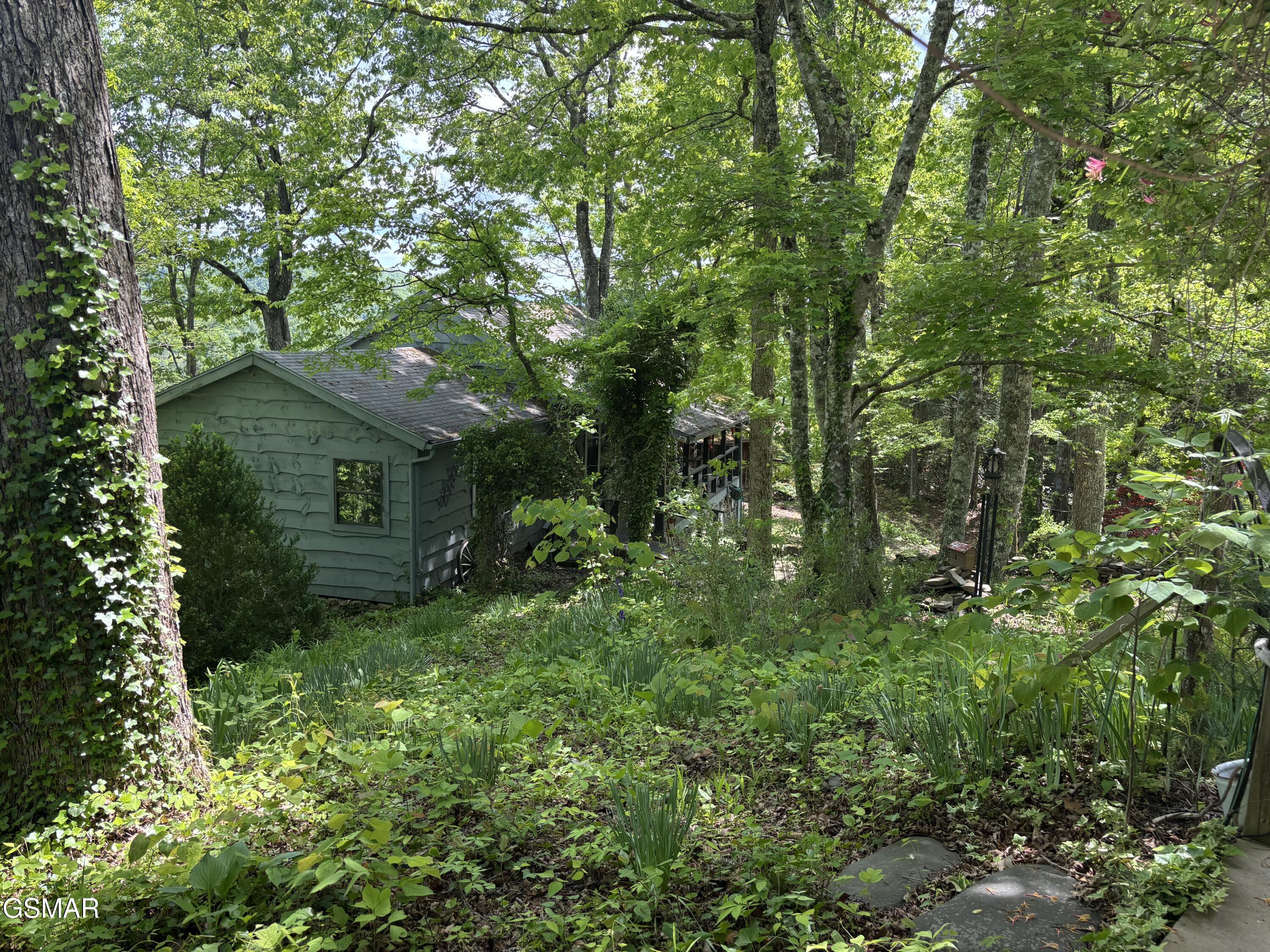 1450 Cabin Way Del Rio TN 37727