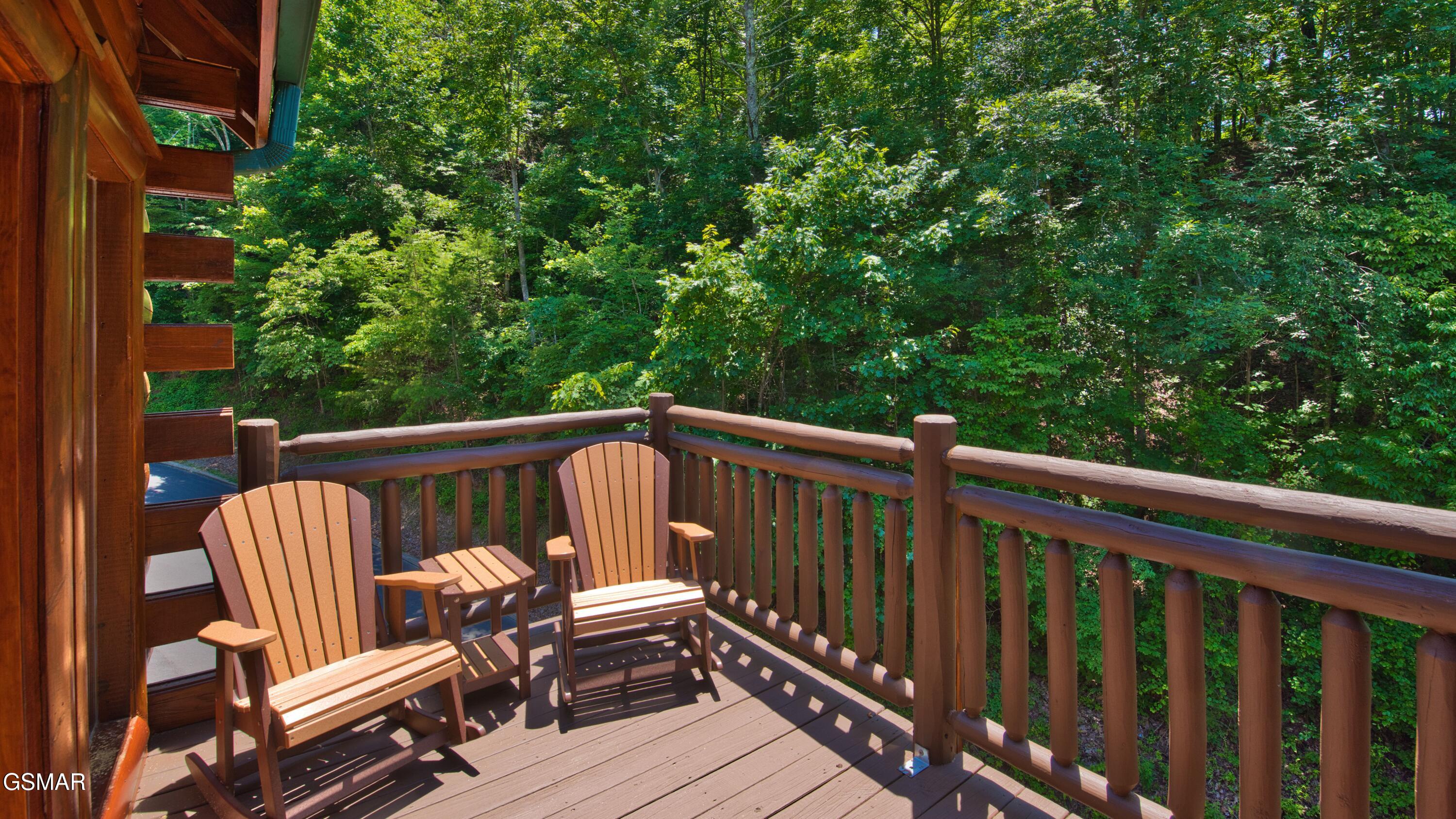 1124 Black Bear Cub Way Sevierville TN 37862