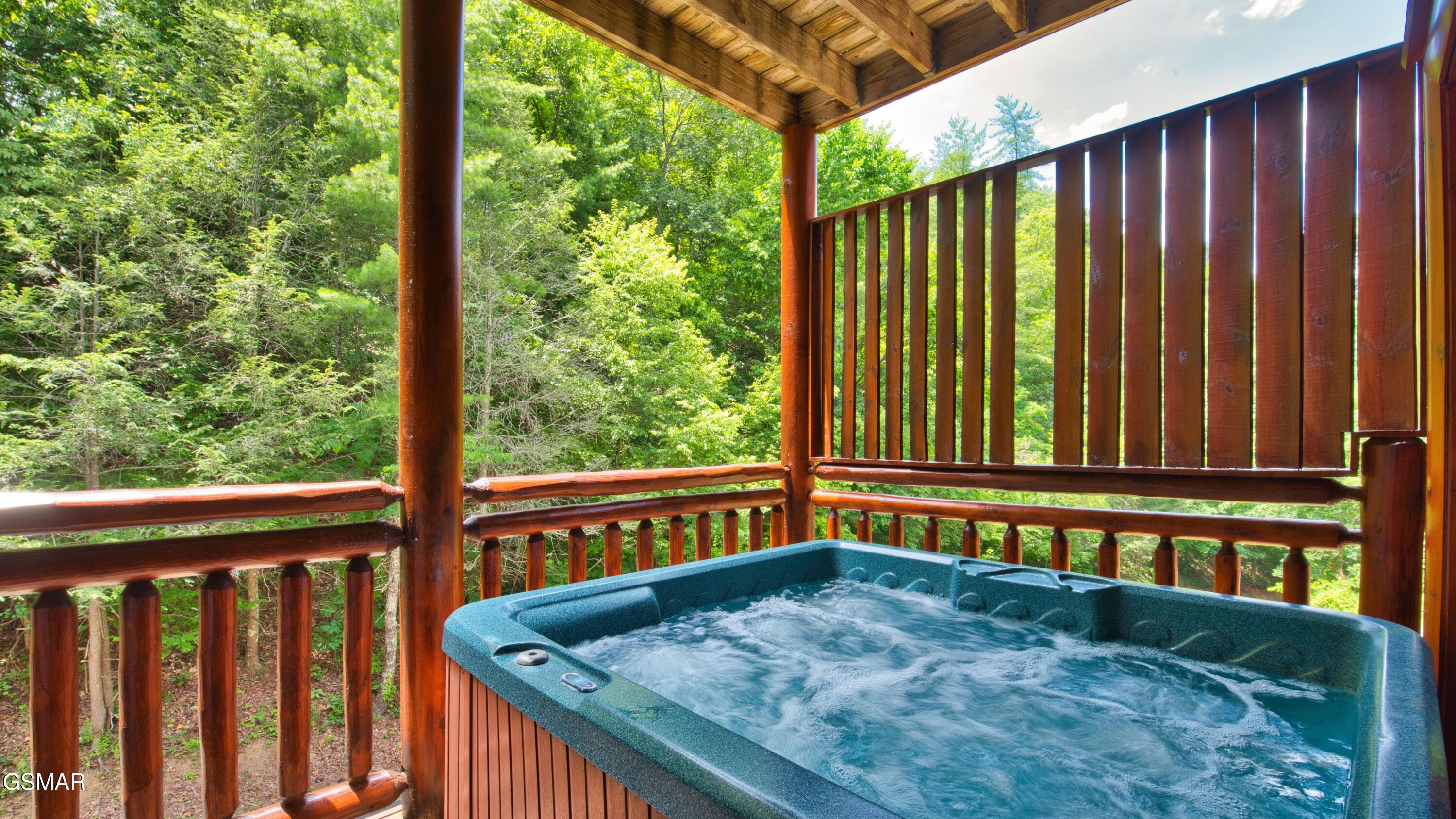 1124 Black Bear Cub Way Sevierville TN 37862