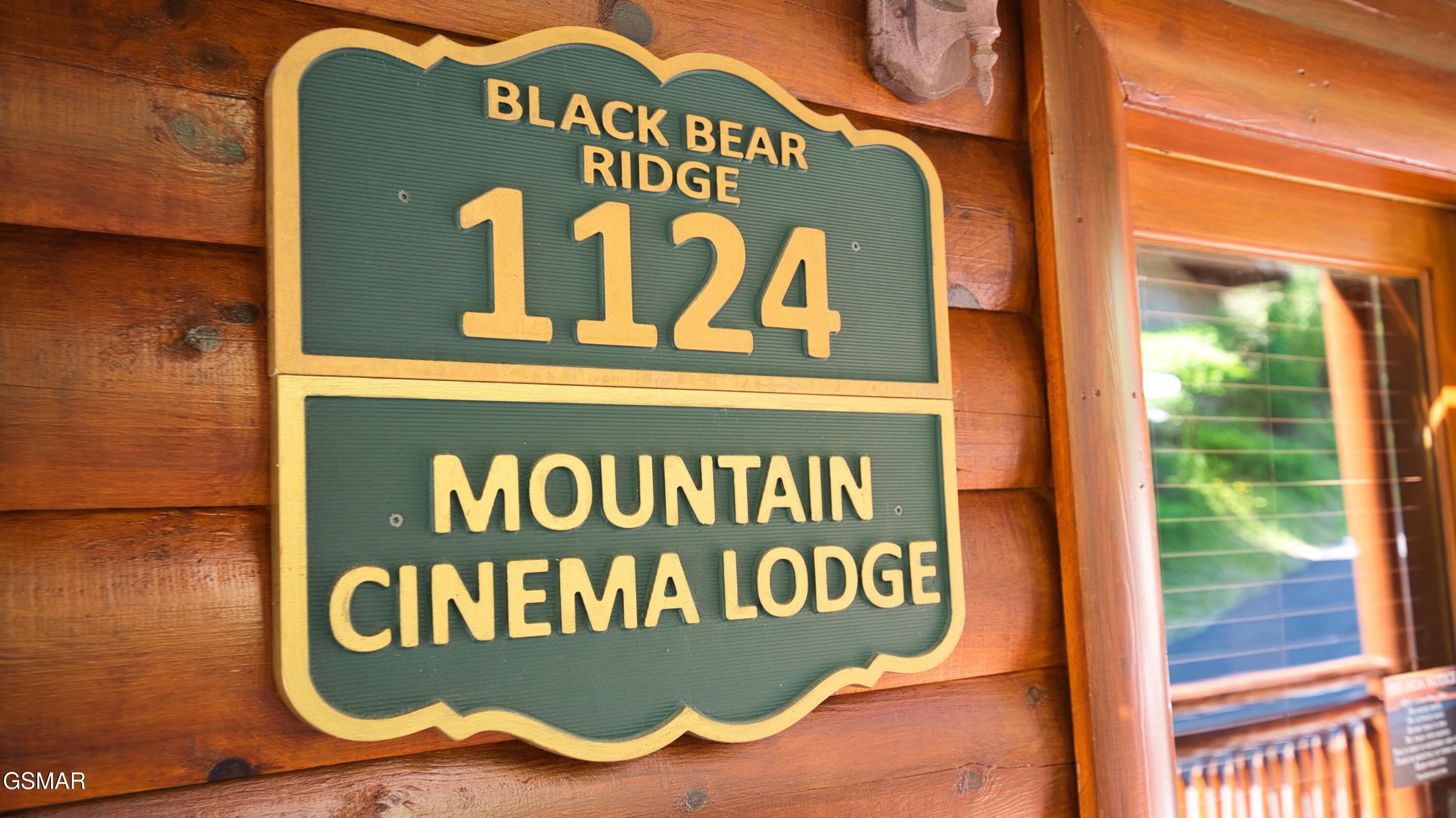 1124 Black Bear Cub Way Sevierville TN 37862