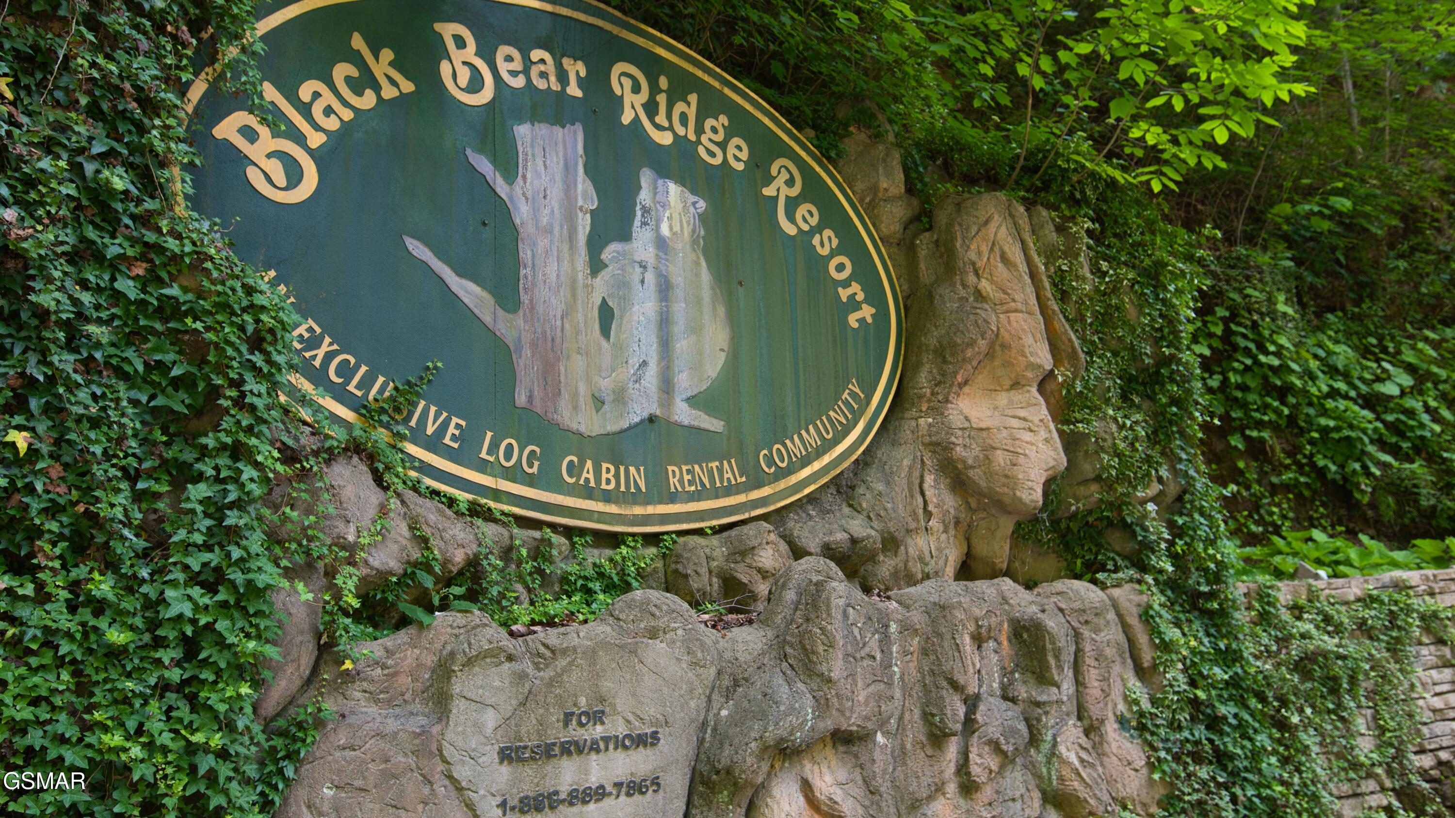 1124 Black Bear Cub Way Sevierville TN 37862