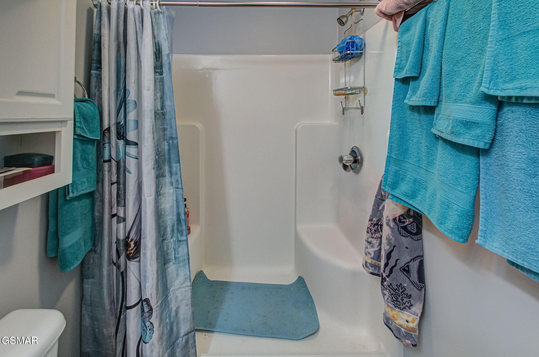 1024 Rosella Drive White Pine TN 37890